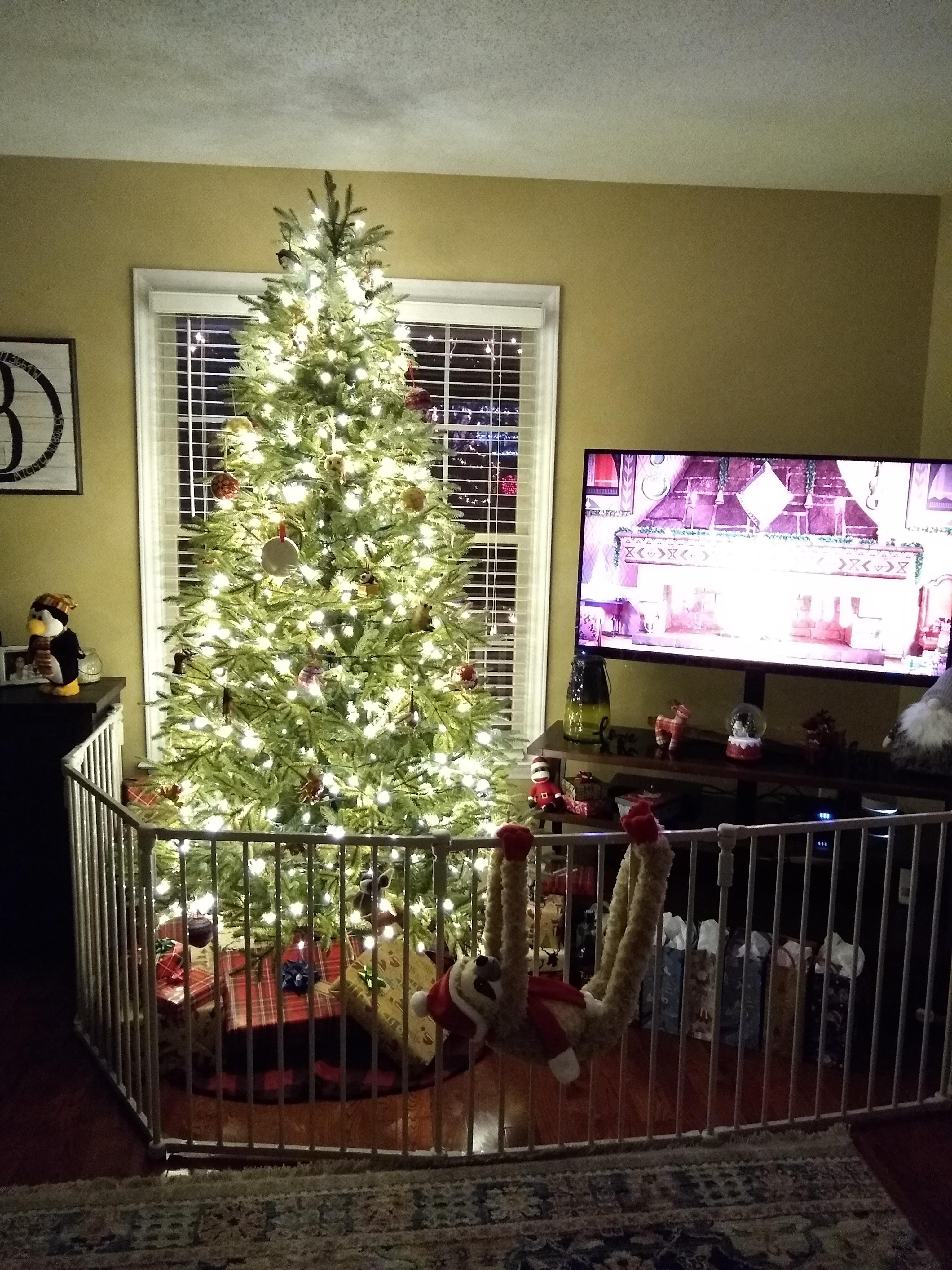 Good thing Santa was able to get past the baby barrier. r/christmas