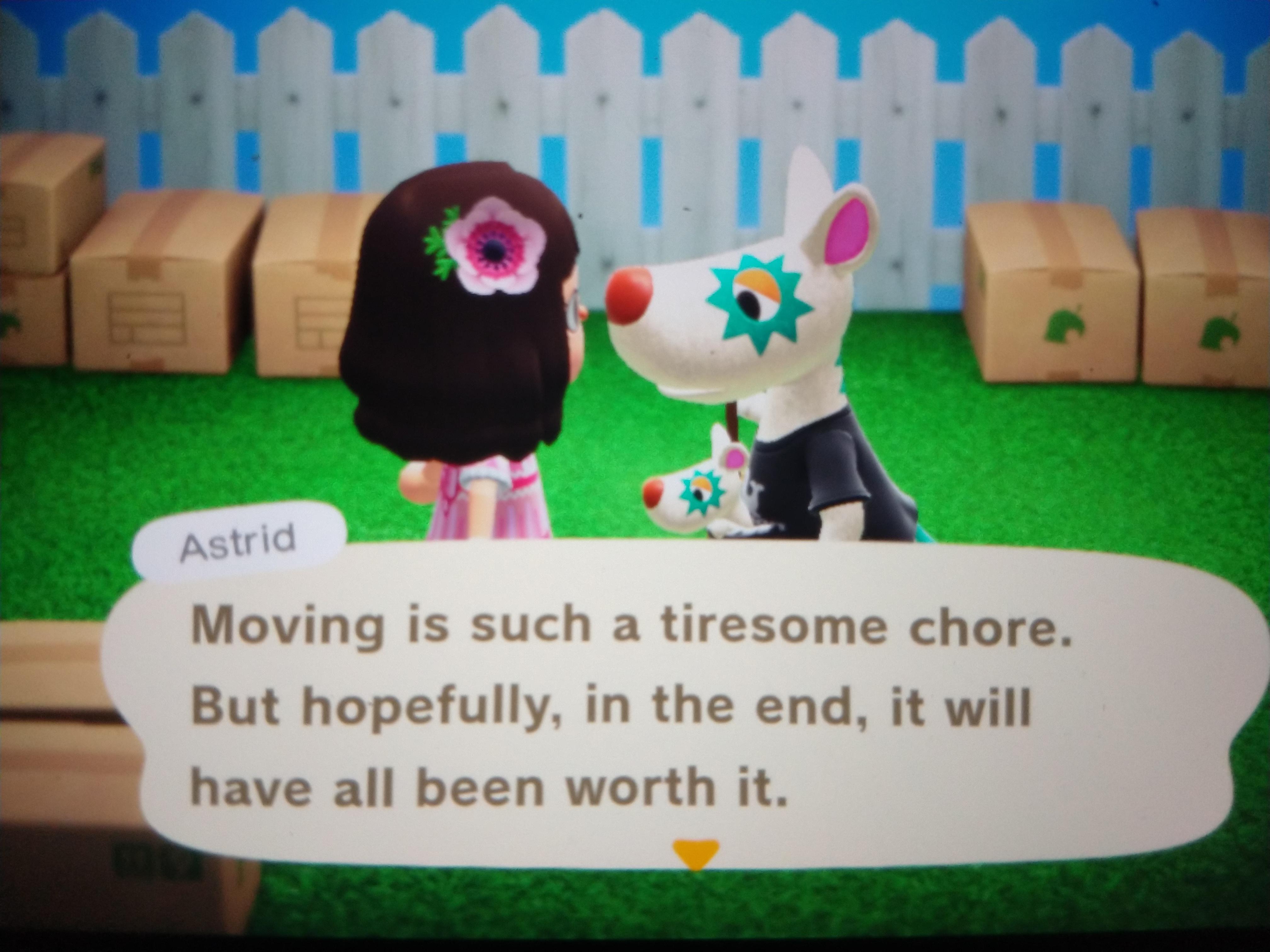 Astrid in Boxes! r/NewHorizonsAC