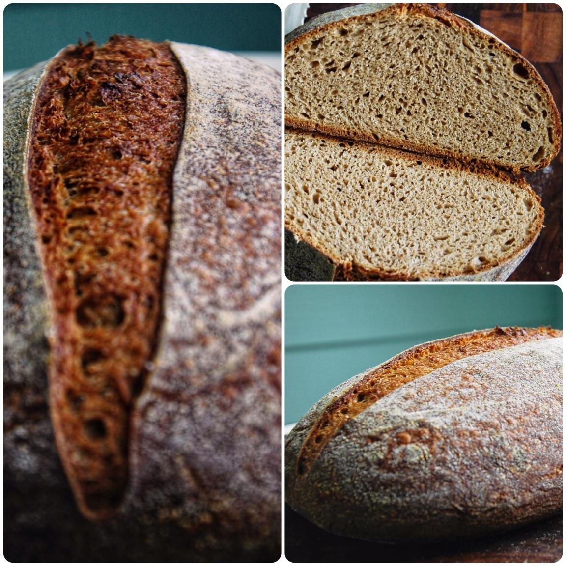 Four flours bread White whole wheat, whole wheat, spelt and rye. r