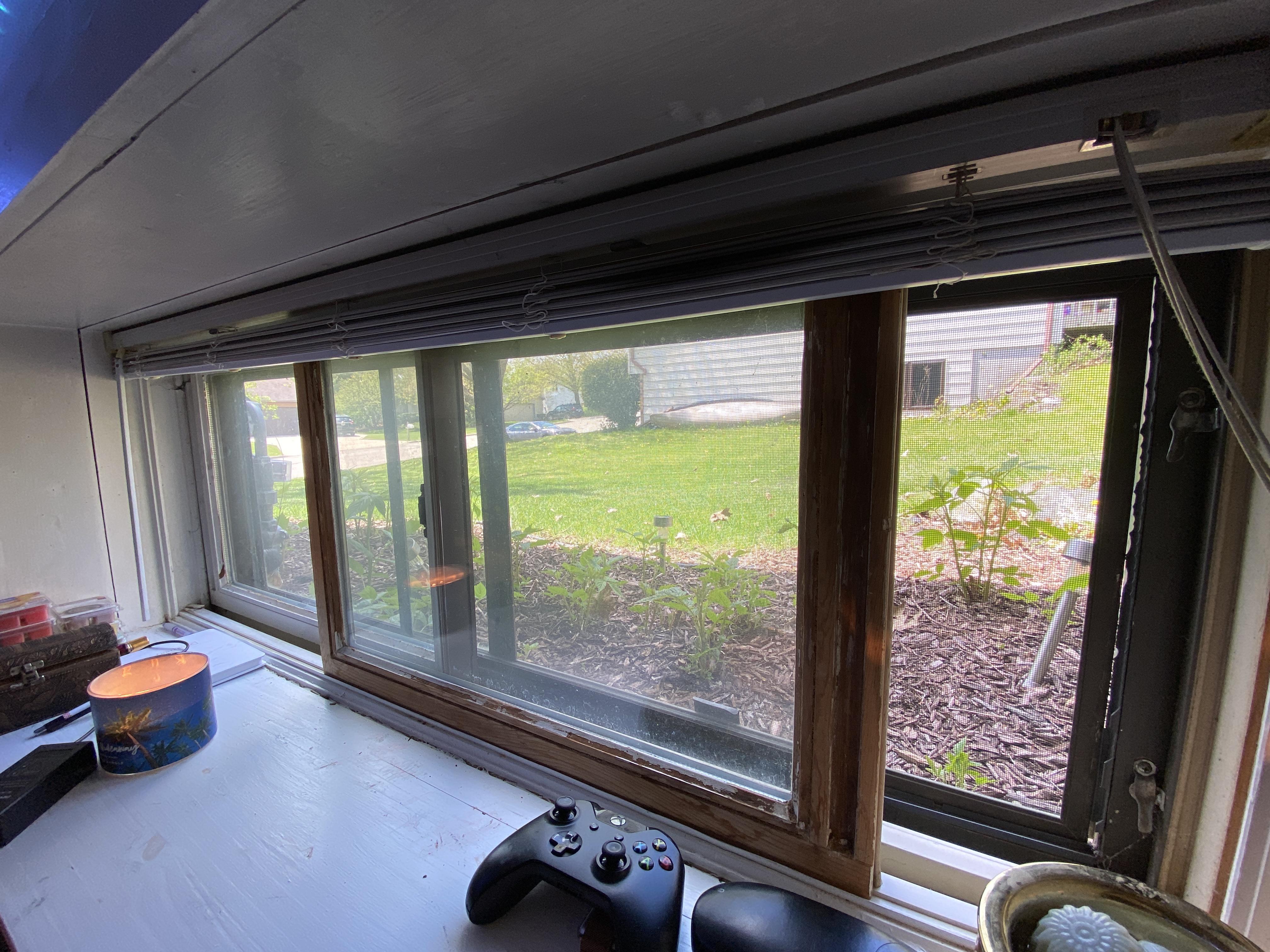 Easy Care Suggestions Needed. In my bedroom I have a ground level