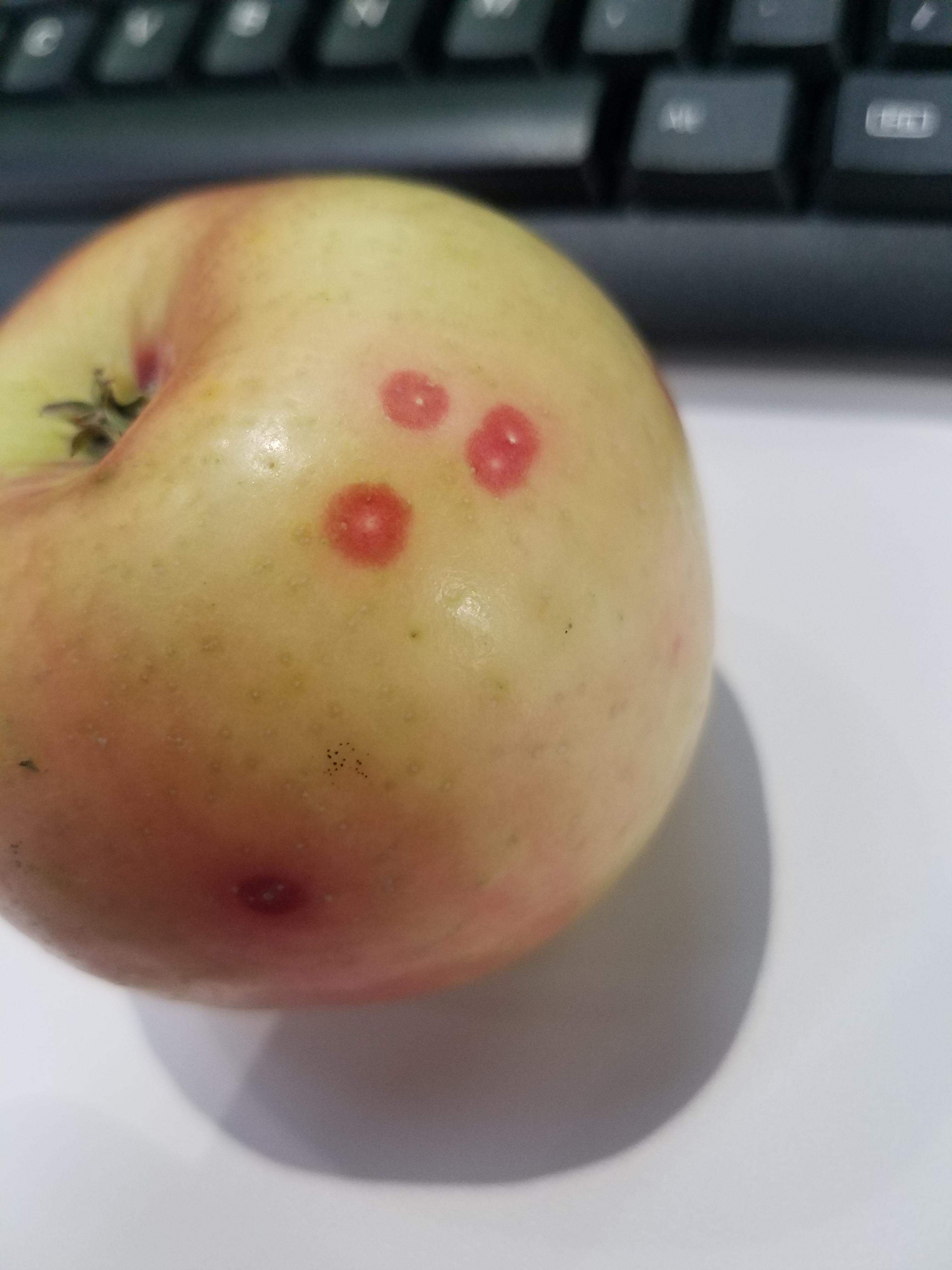 Wondering what these spots are, and if it's safe to eat? r/Apples