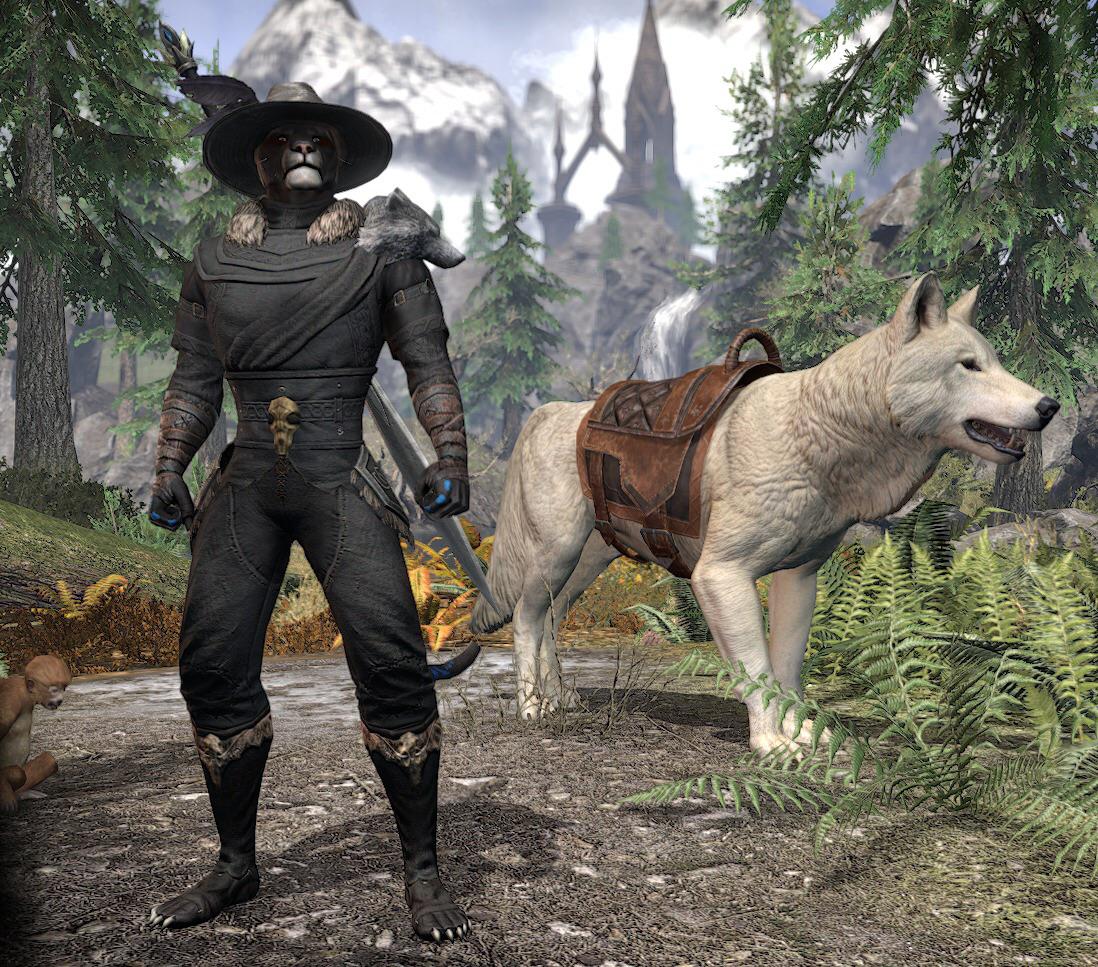 Rate my Outfit for Vampire hunting in eso skyrim r/ESOFashion