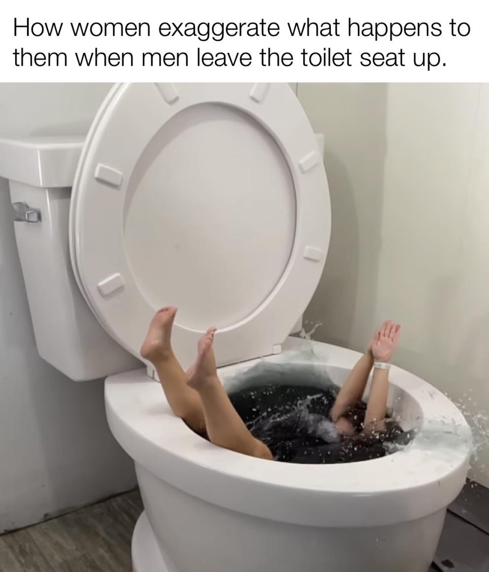 Share 169+ imagen toilet seat up meme In.thptnganamst.edu.vn
