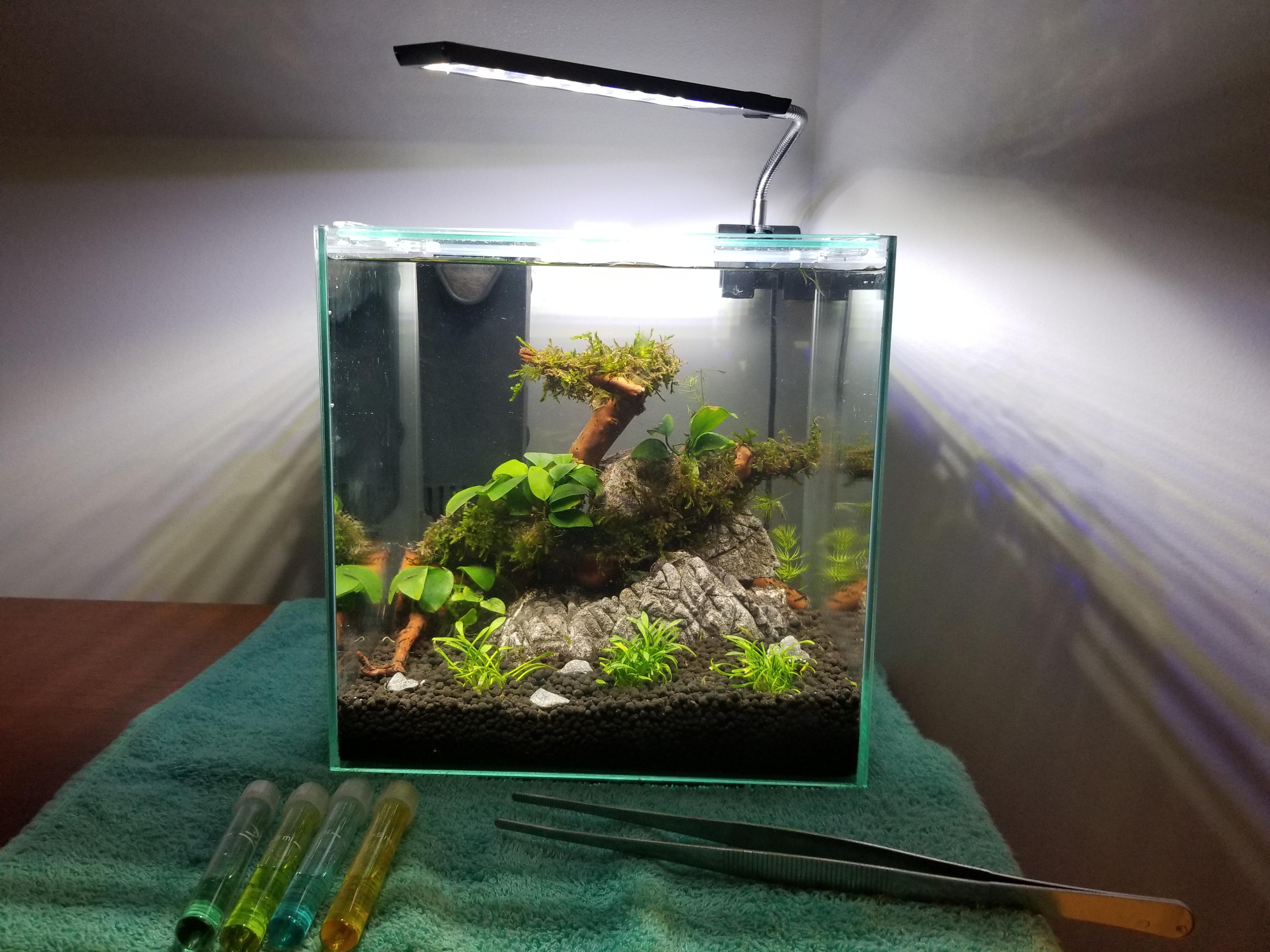Finally set up the 3 Gallon Cube! r/PlantedTank