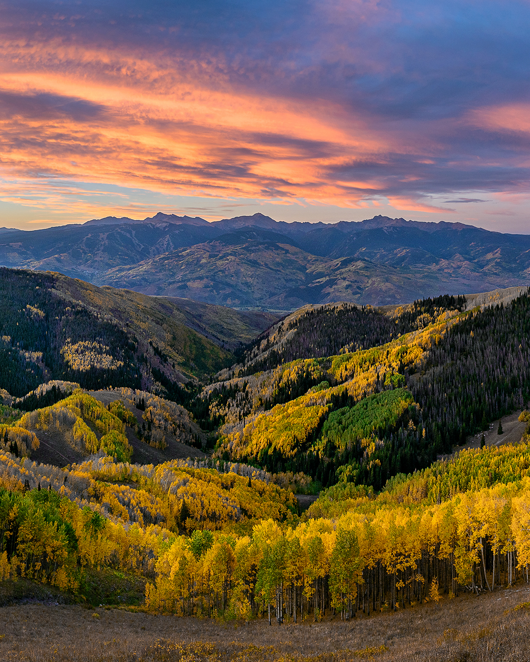 Colorado Fall Colors 2023 Reddit