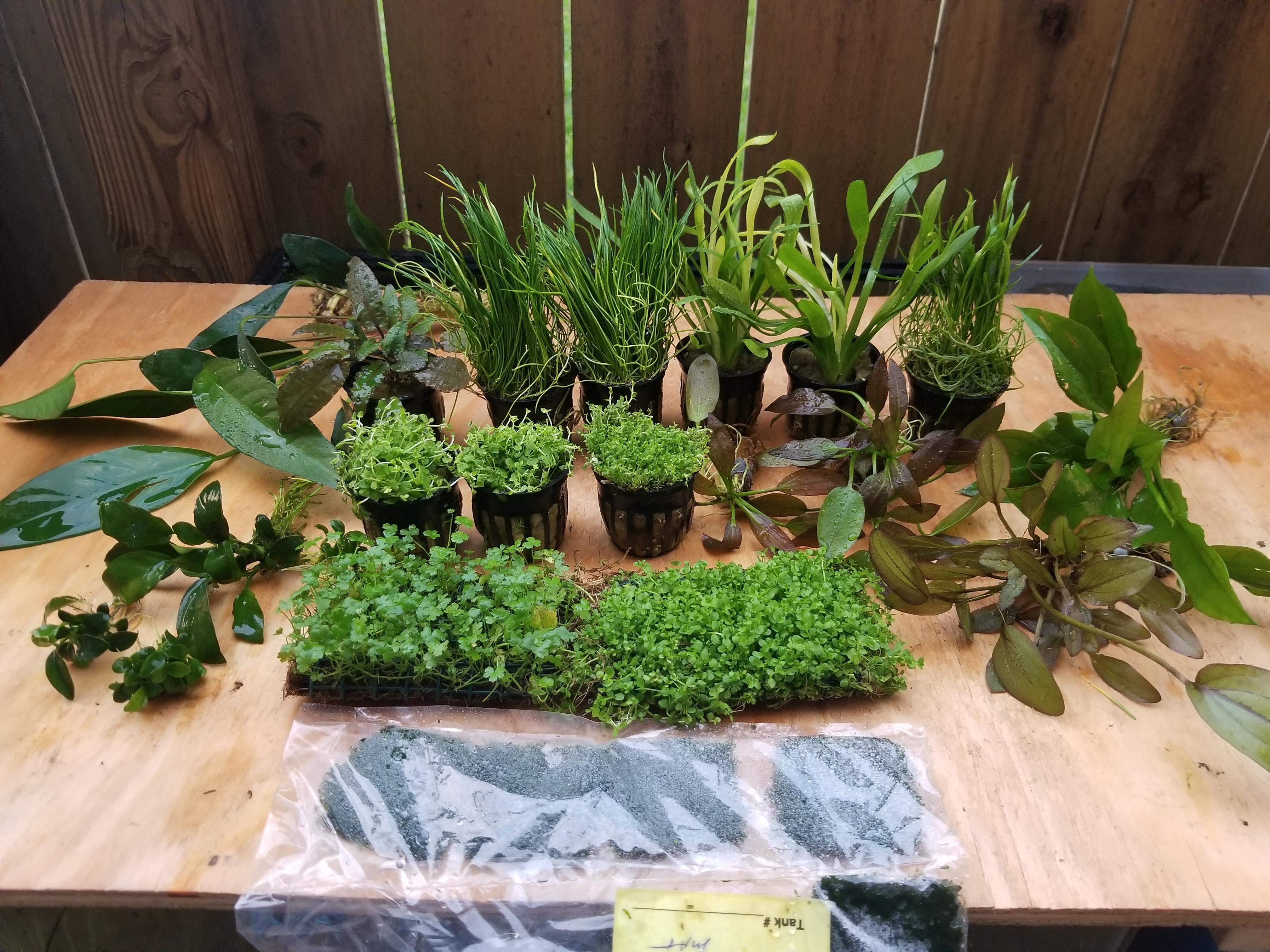 [FS] Miami FL 1+ Monte Carlo mats and more. Shipping is 8 USPS