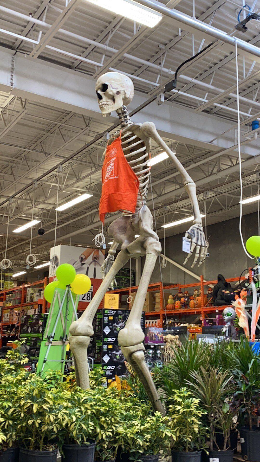 The skeleton from Home Depot vs. Kratos and Fully Fed Galactus r