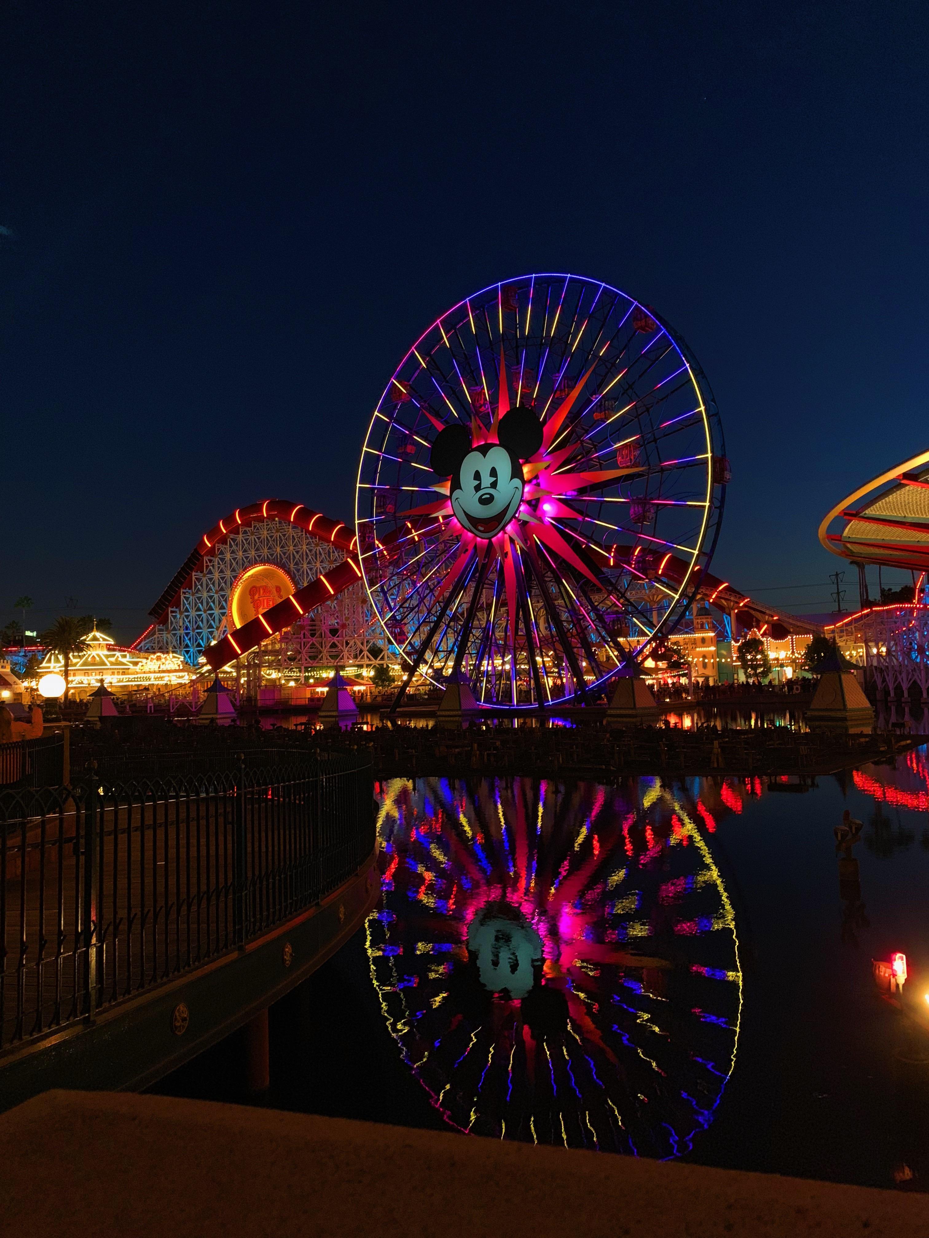 Beautiful lights and sights! r/Disneyland