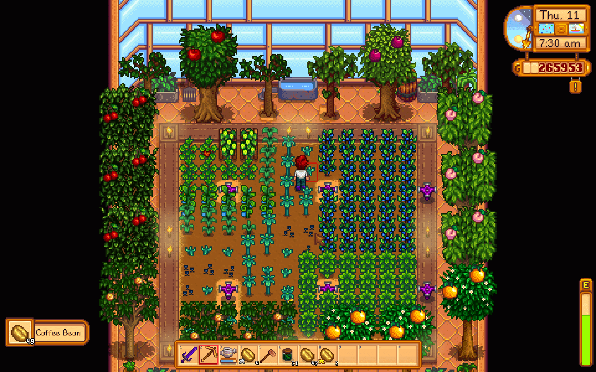 Stardew Valley Fruit Trees Not Growing / Stardew valley's 1.5 update is