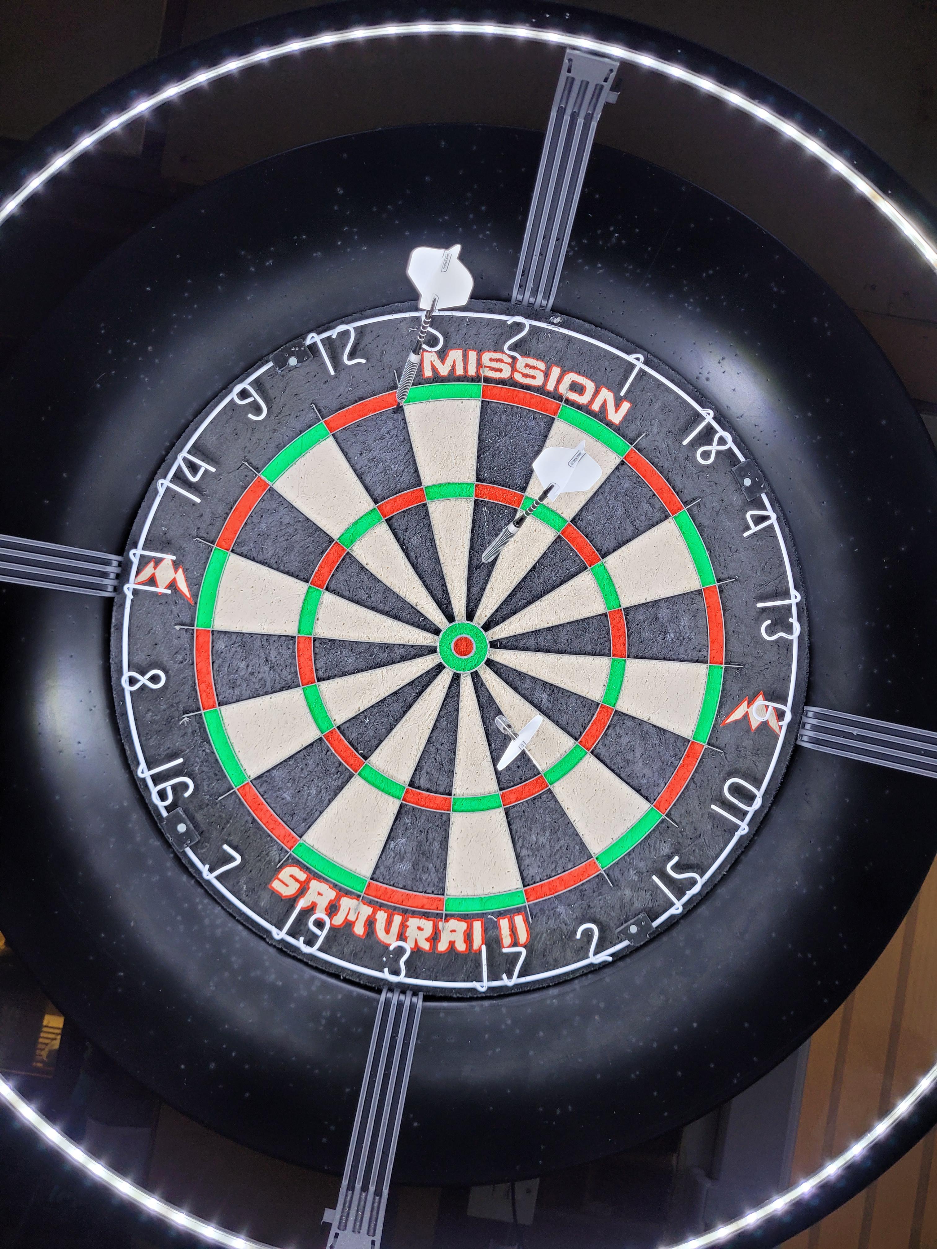 Guess where I was aiming? r/Darts