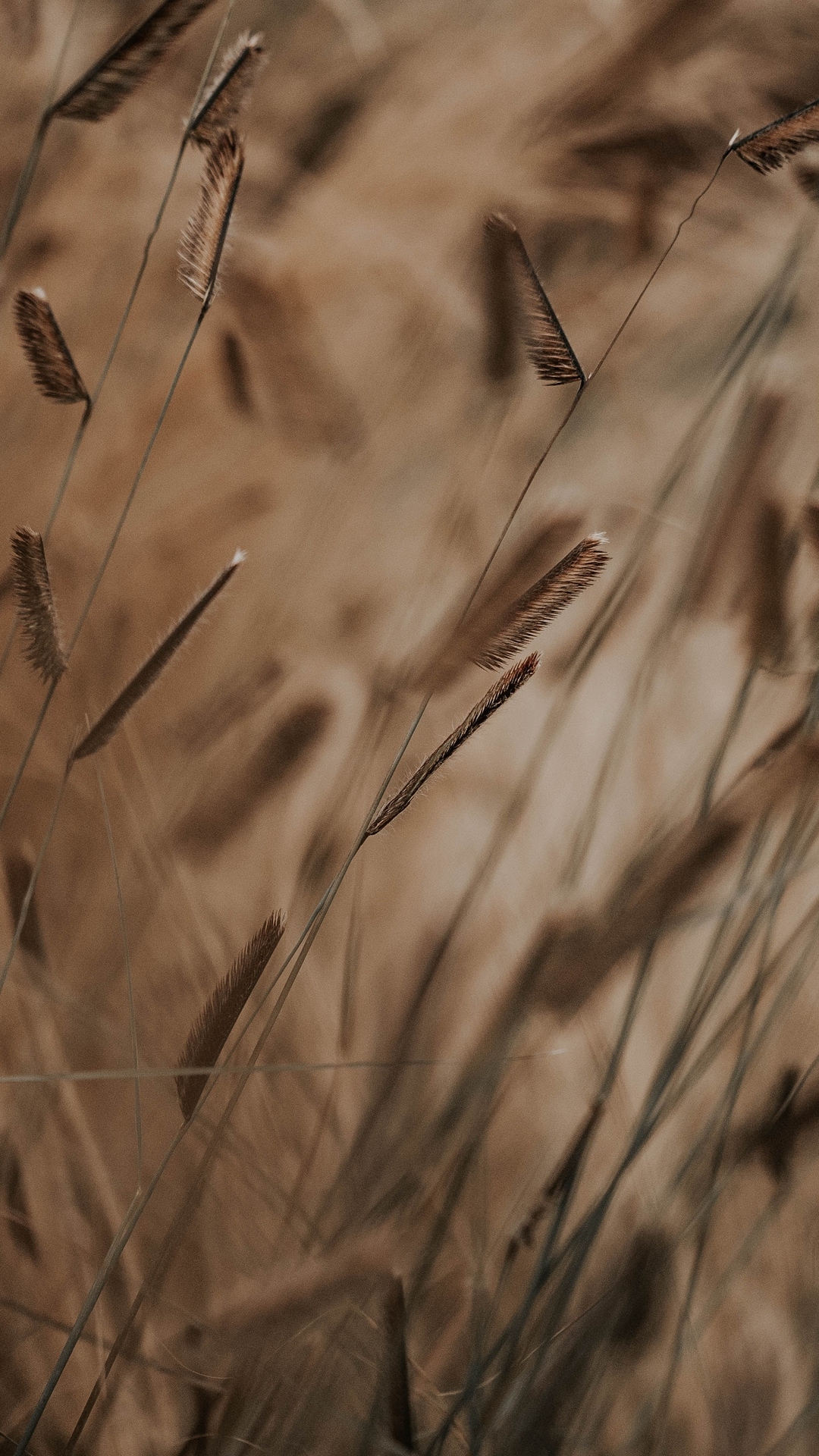 Unique Wallpaper Wall X Creative wallpapers Wall X is a high