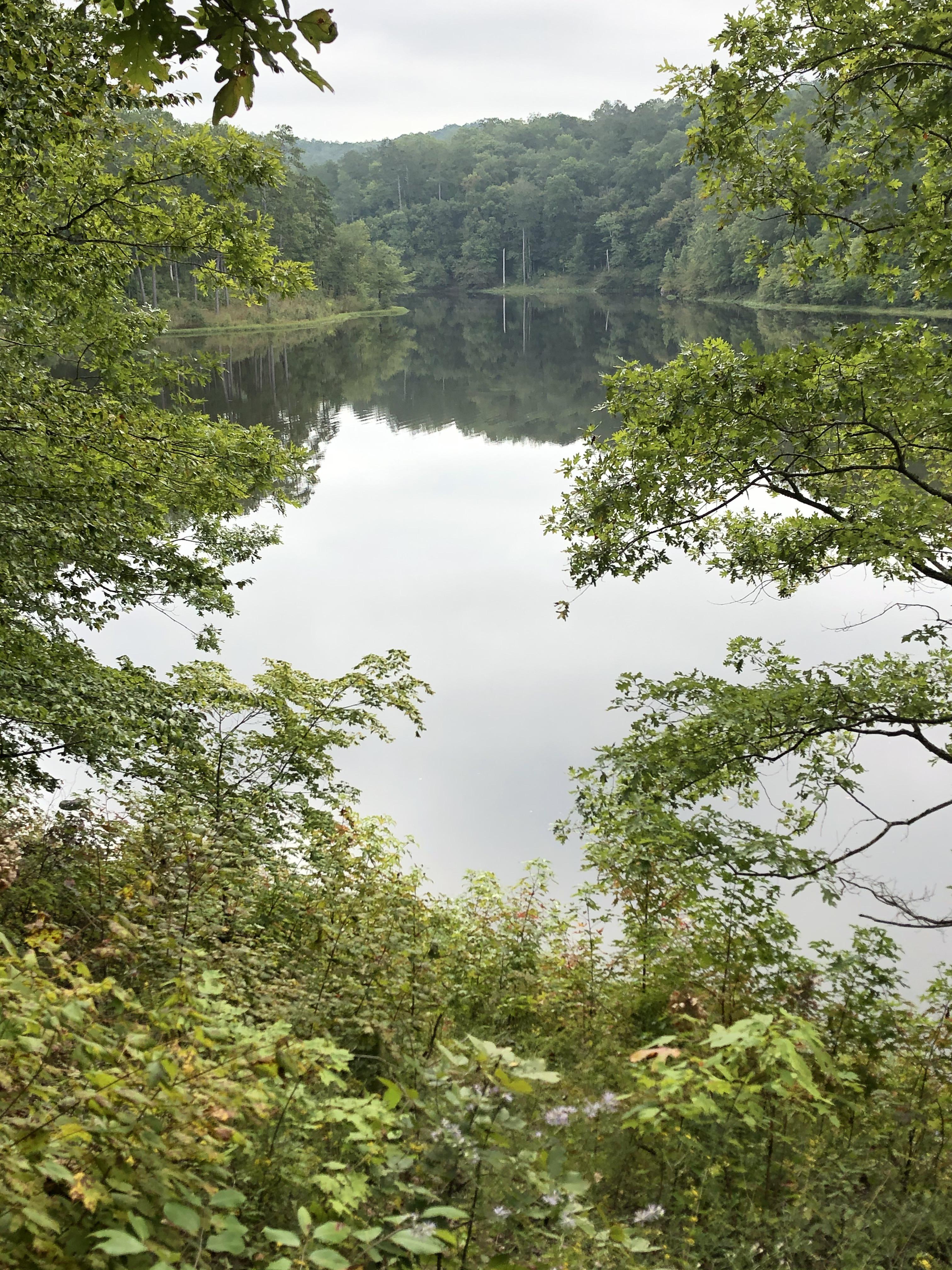 Sunday morning at Sweetwater Lake. Pinhoti Trail, Alabama r/hiking