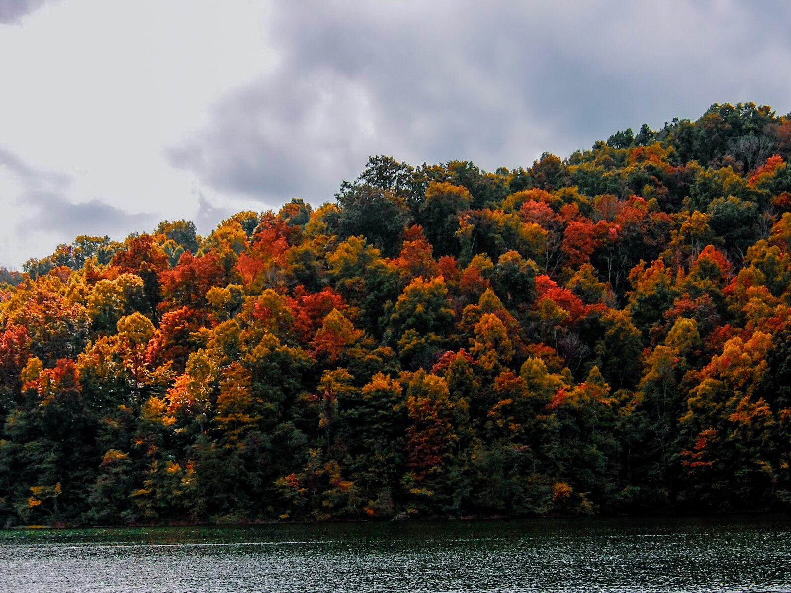 I captured this at Paintsville Lake ) r/Kentucky