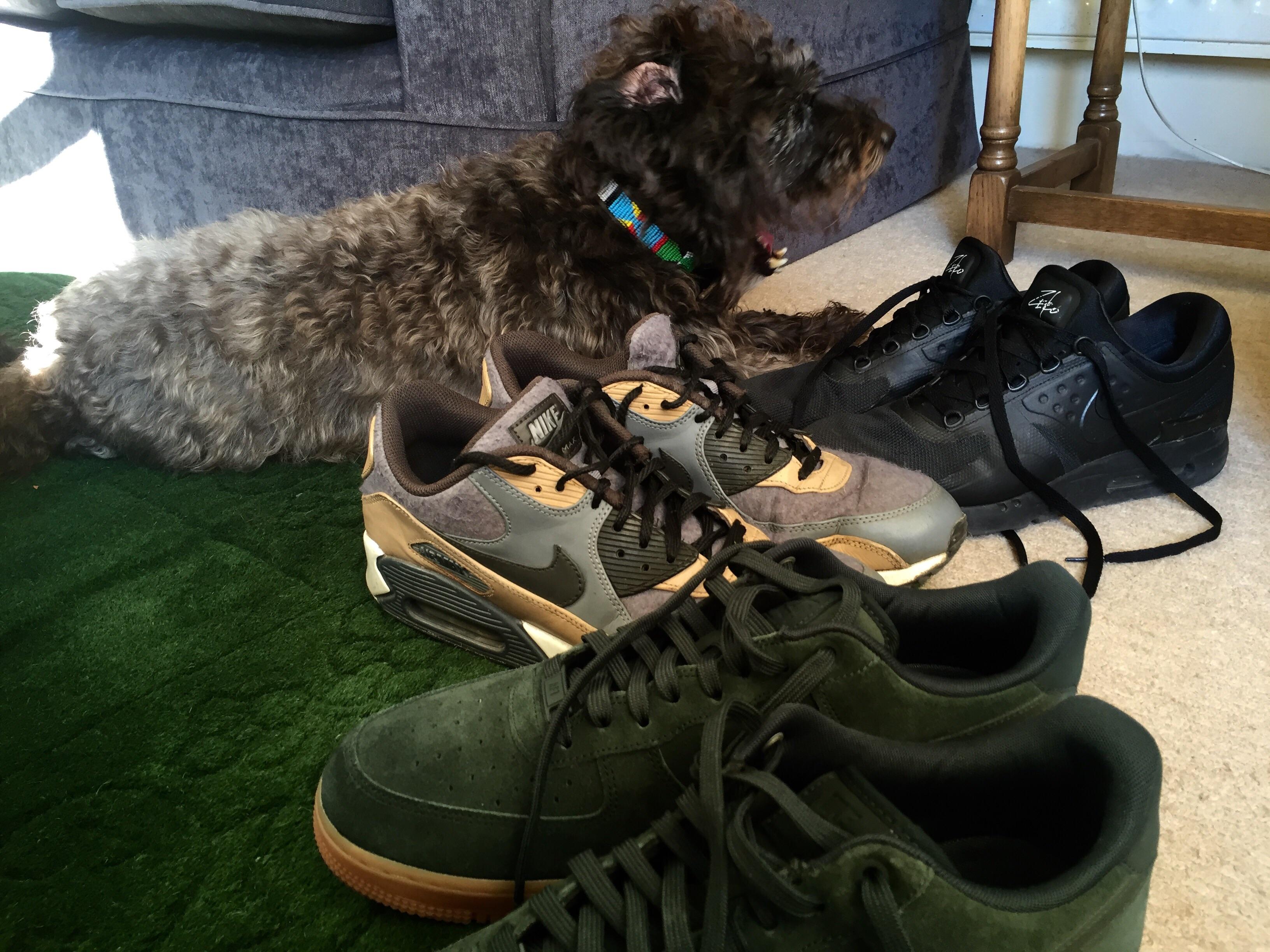 Family of three and a dog Nike Air Max Zero, Nike Air Max 90 Premium, Nike Air Force 1 r