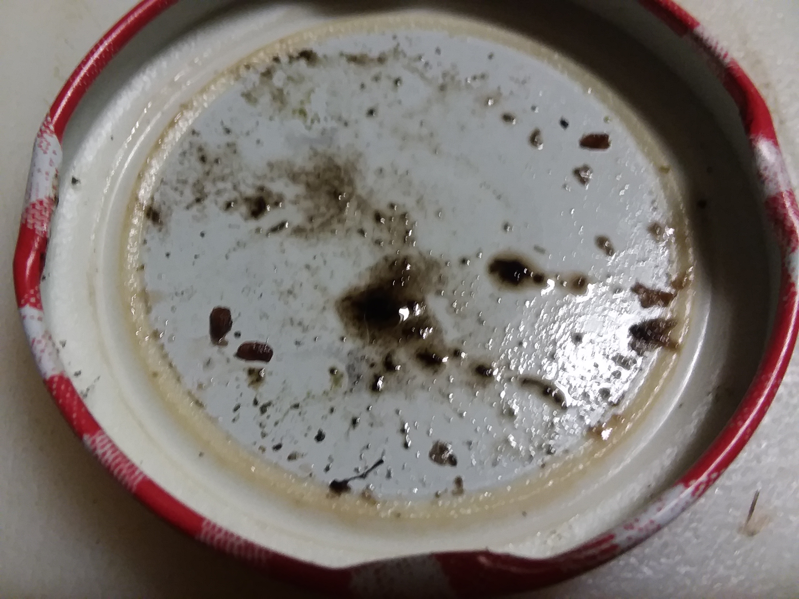 Is this mold on the lid of a jam jar? Could it have made me sick? r