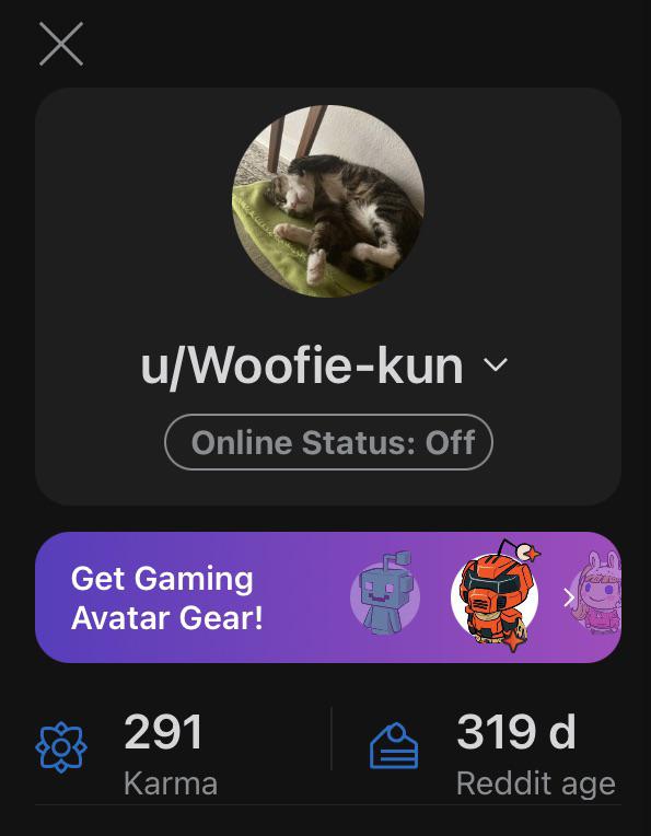 SOOO CLOSE!!! Almost 300 karma Magnux
