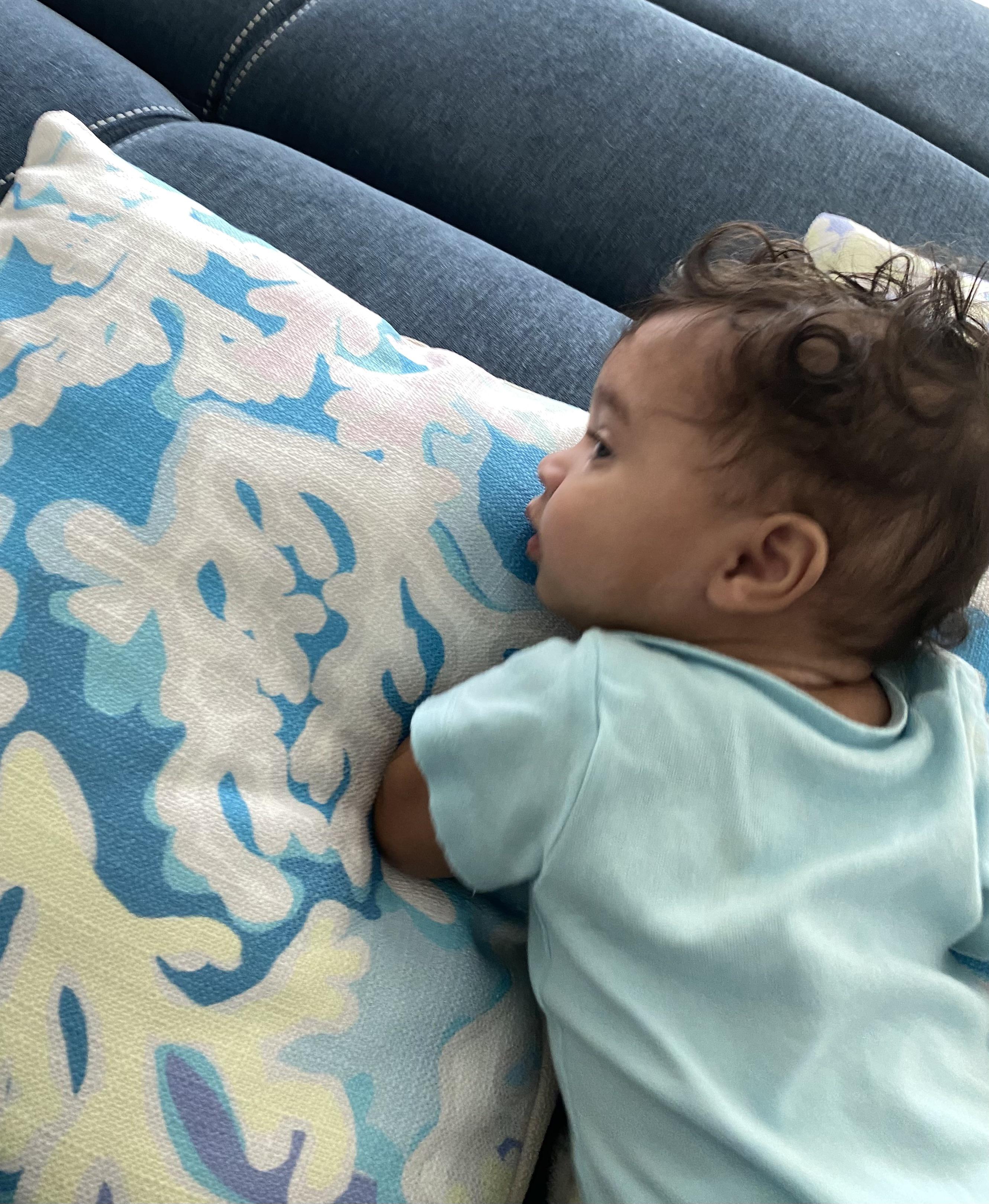 Sewing Down South pillows (quick shipping) r/Southerncharm