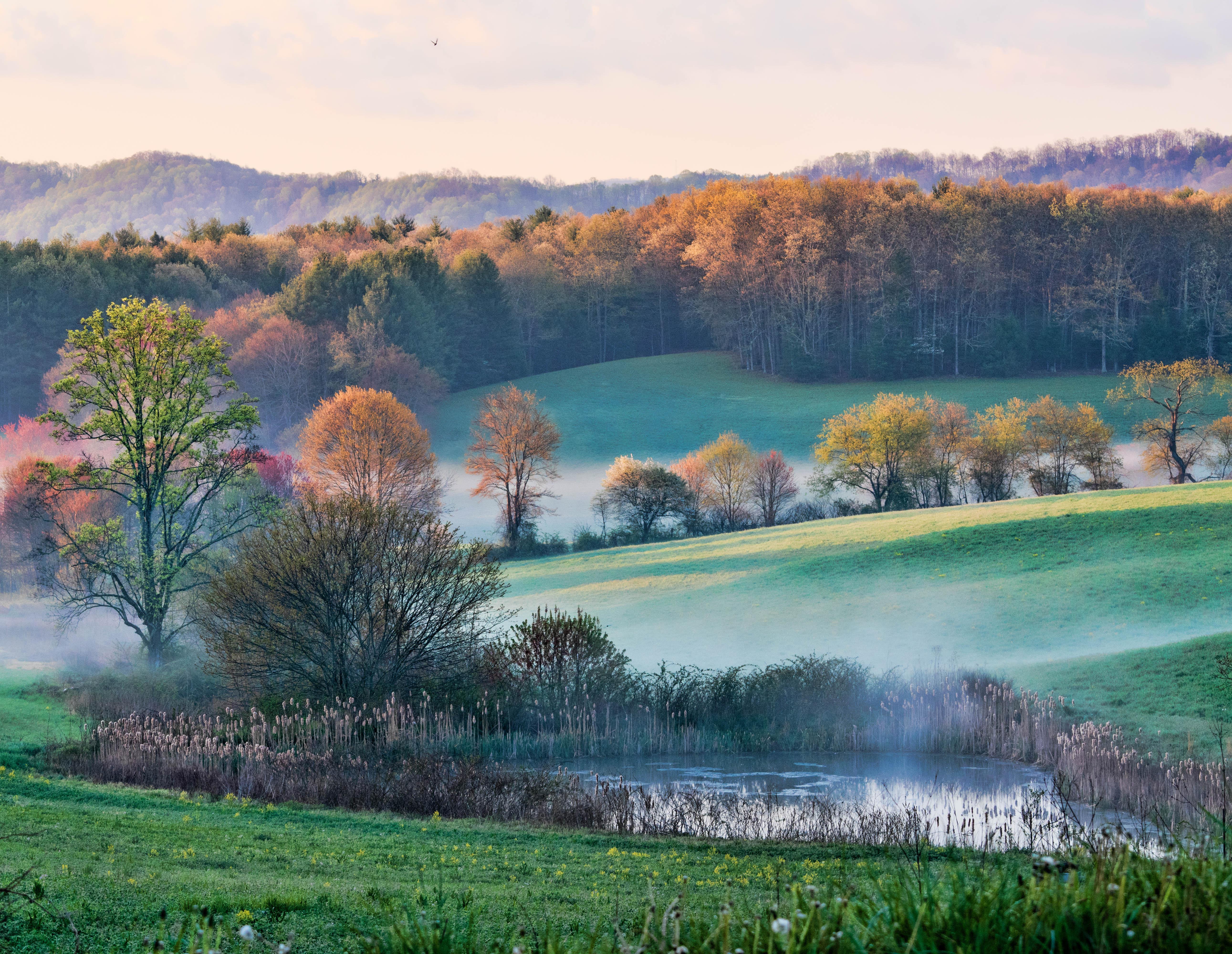 Spring Morning in the Blue Ridge Mountains of North Carolina [OC] [5164