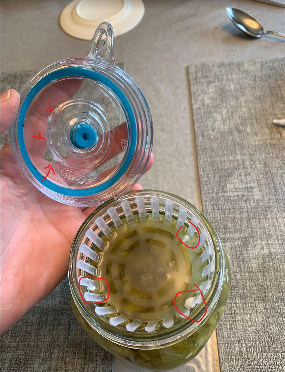 Why do my 2 green bell peppers go moldy 50 of the time ? ( Red