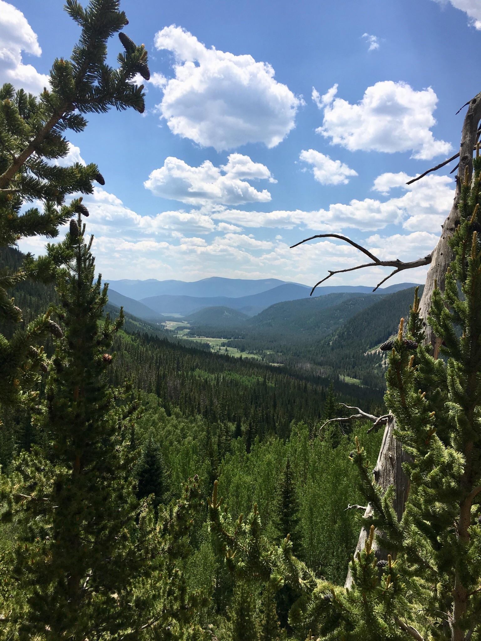 Shelf Lake Trail, Pike National Forest, Colorado. [OC][1536x2048] r