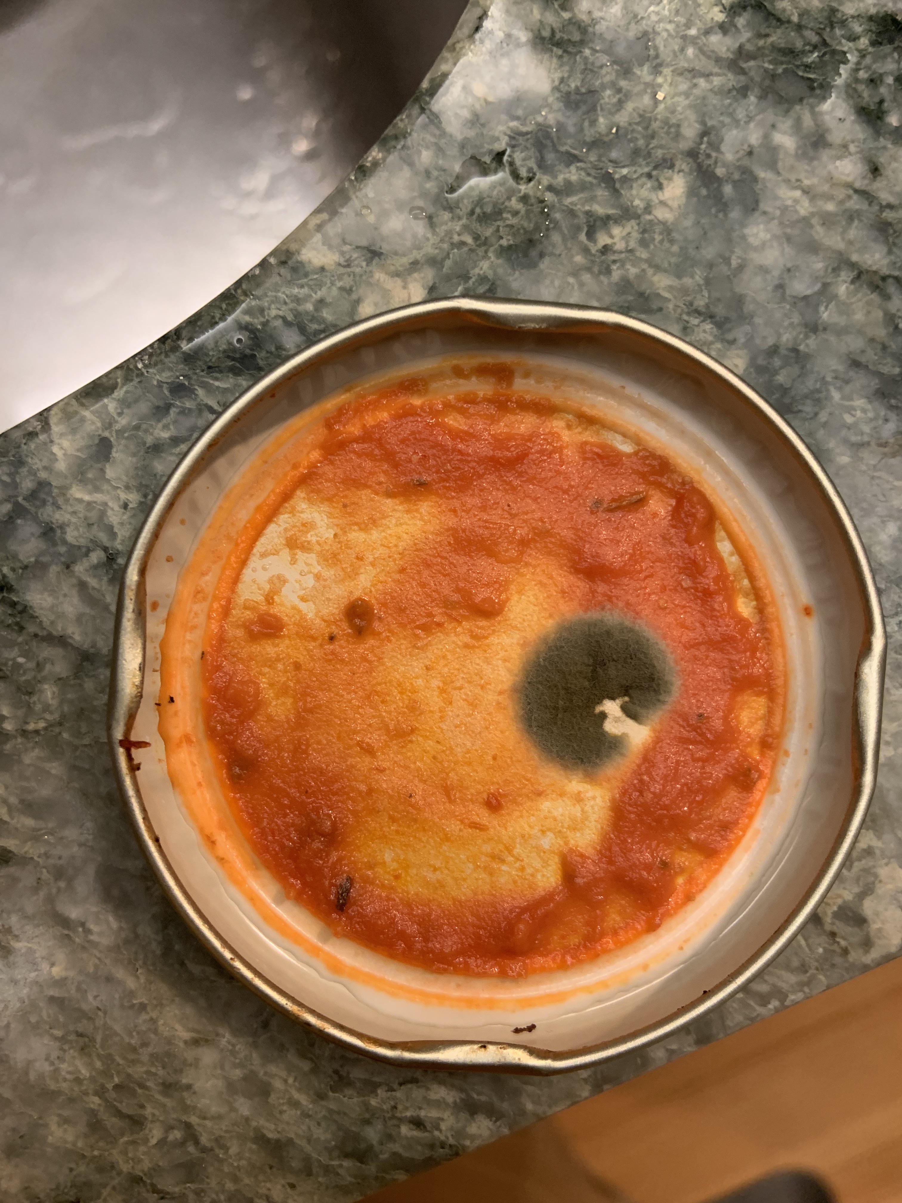 Mold on ready made pasta sauce lid r/MoldlyInteresting