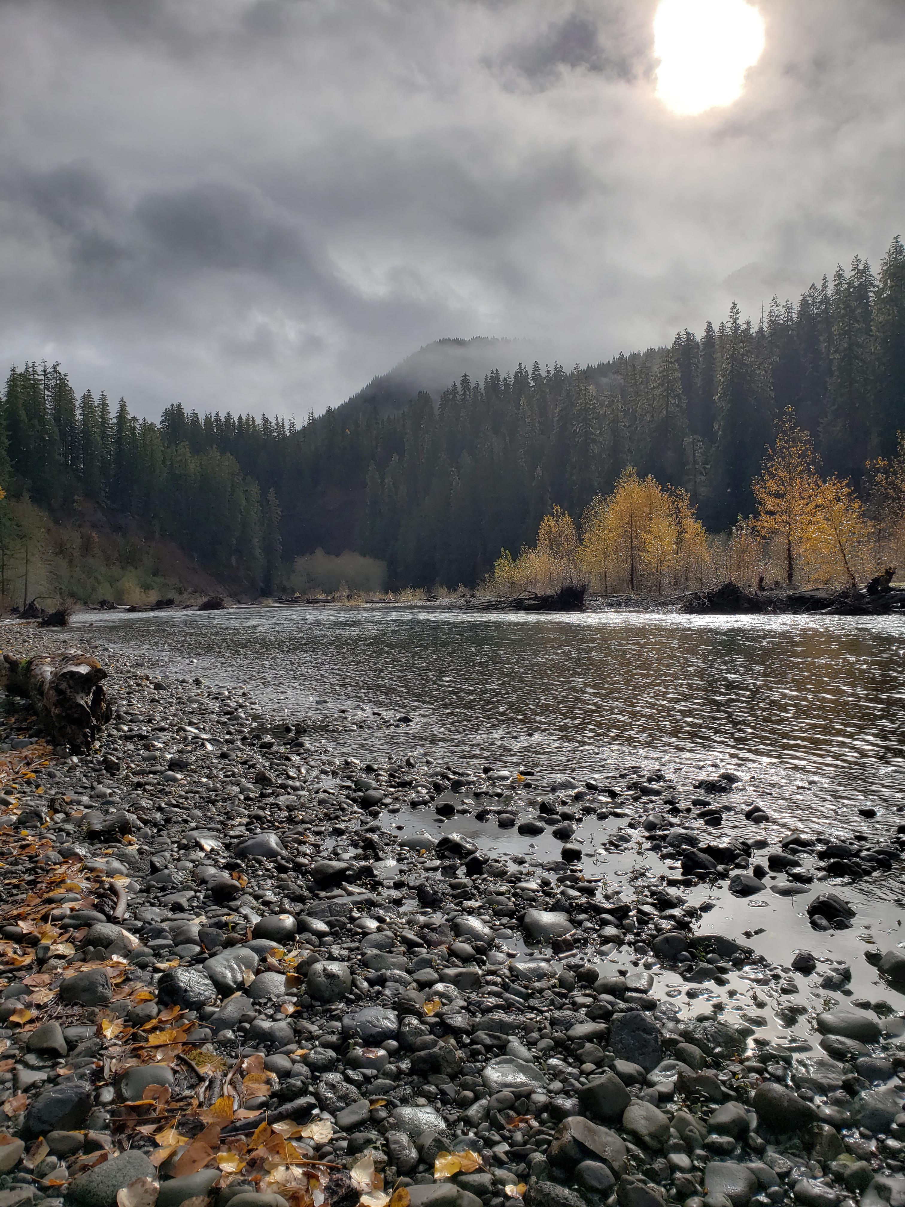 [Wa] Lower South Fork Skokomish River r/hiking