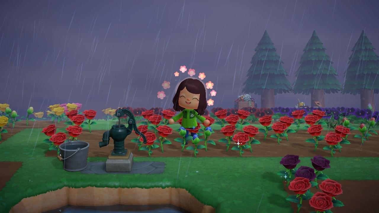 Best ACNH day ever! Not only the summer update but finally a Blue rose