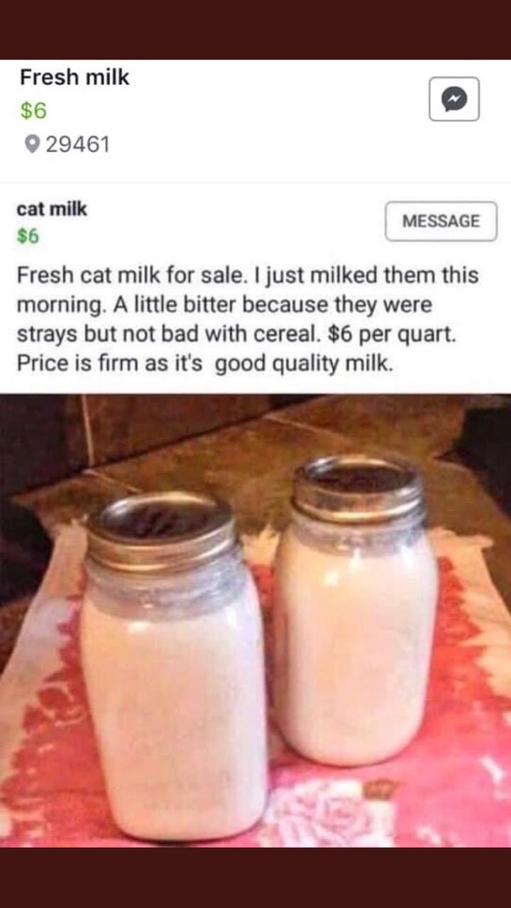 Bitter stray cat milk r/insanepeoplefacebook
