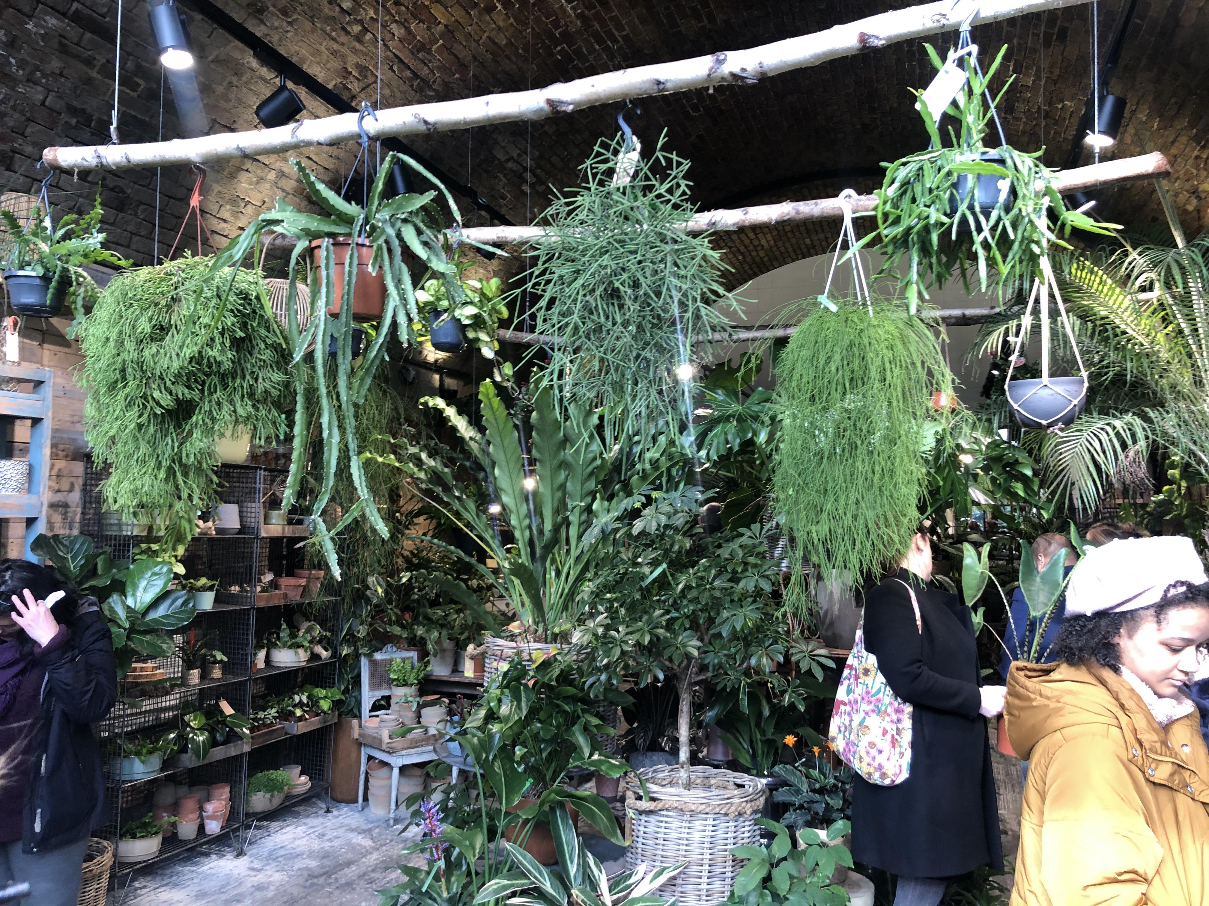 “The Green Room” at W6 Garden Centre, London wonderful little