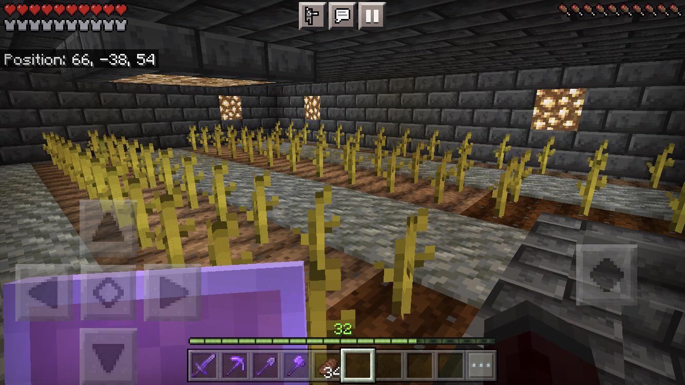 Melons won’t grow. It’s been two hours. Any idea why? r/MCPE