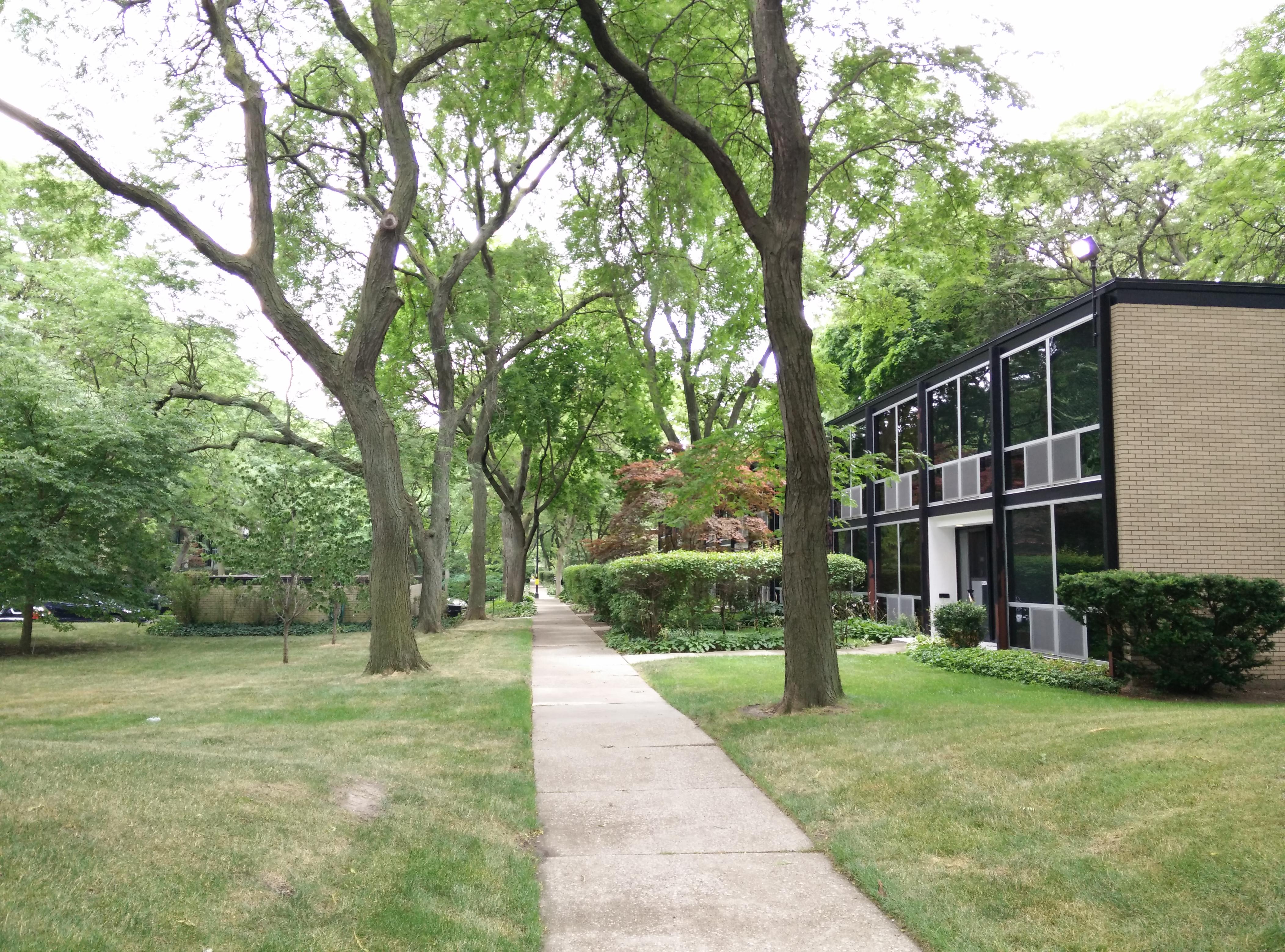 Lafayette Park, Detroit town houses and masterplan by Mies Van der