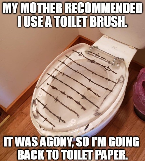 This makes me flush with embarrassment r/puns