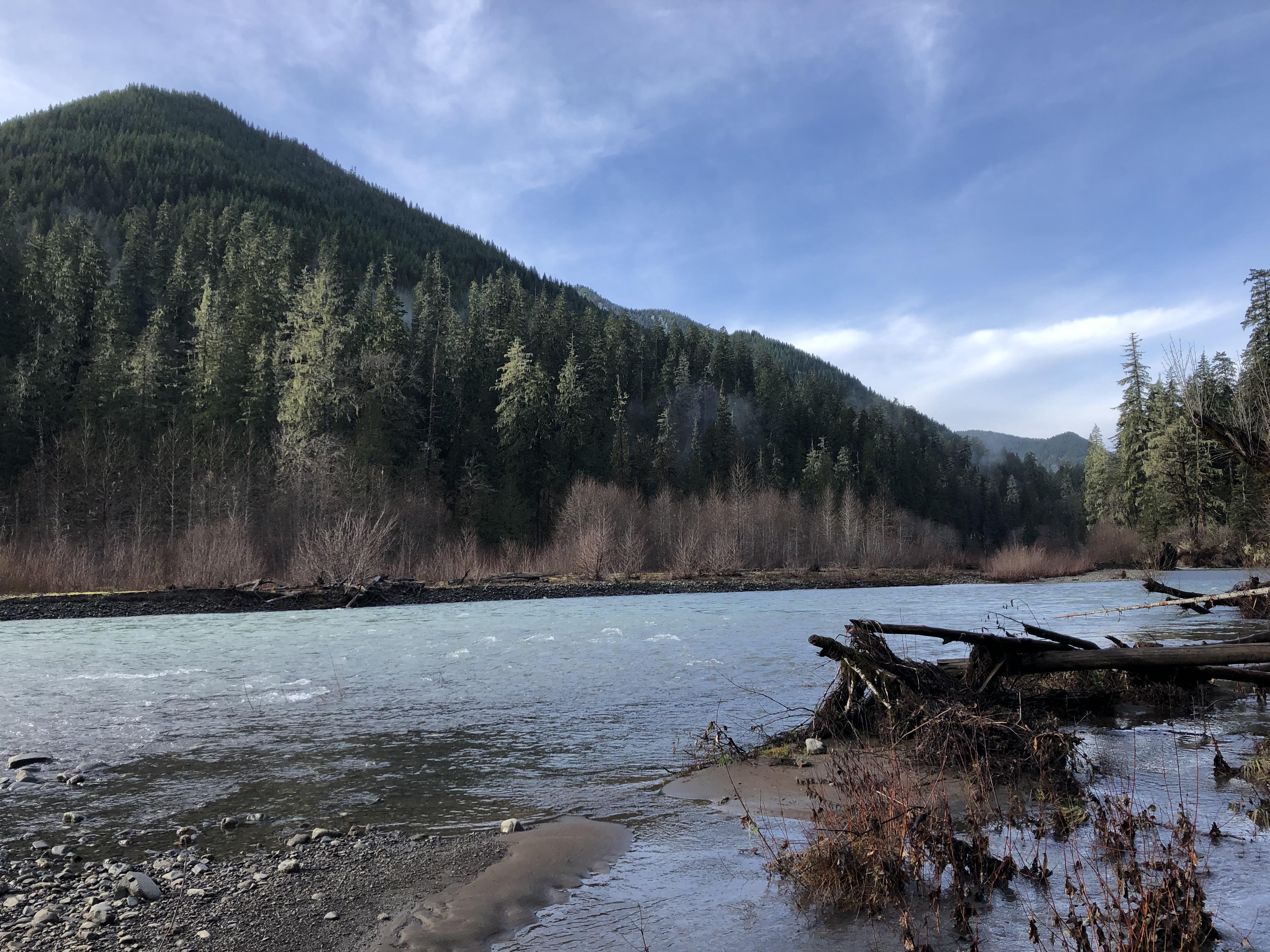 South fork Skokomish River, WA was at flood stage and this