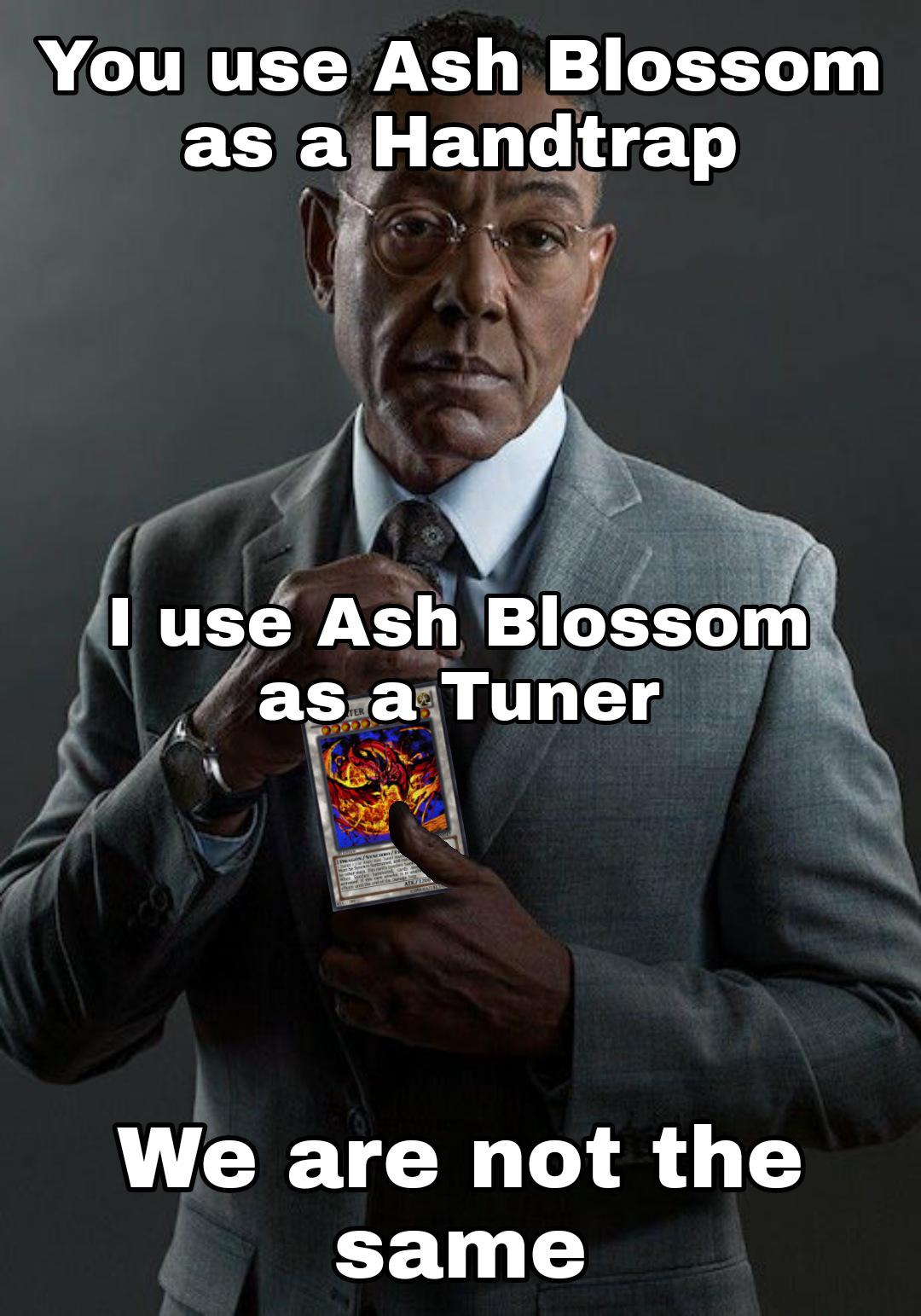 257 best Ash Blossom images on Pholder Masterduel, Washingtondc and