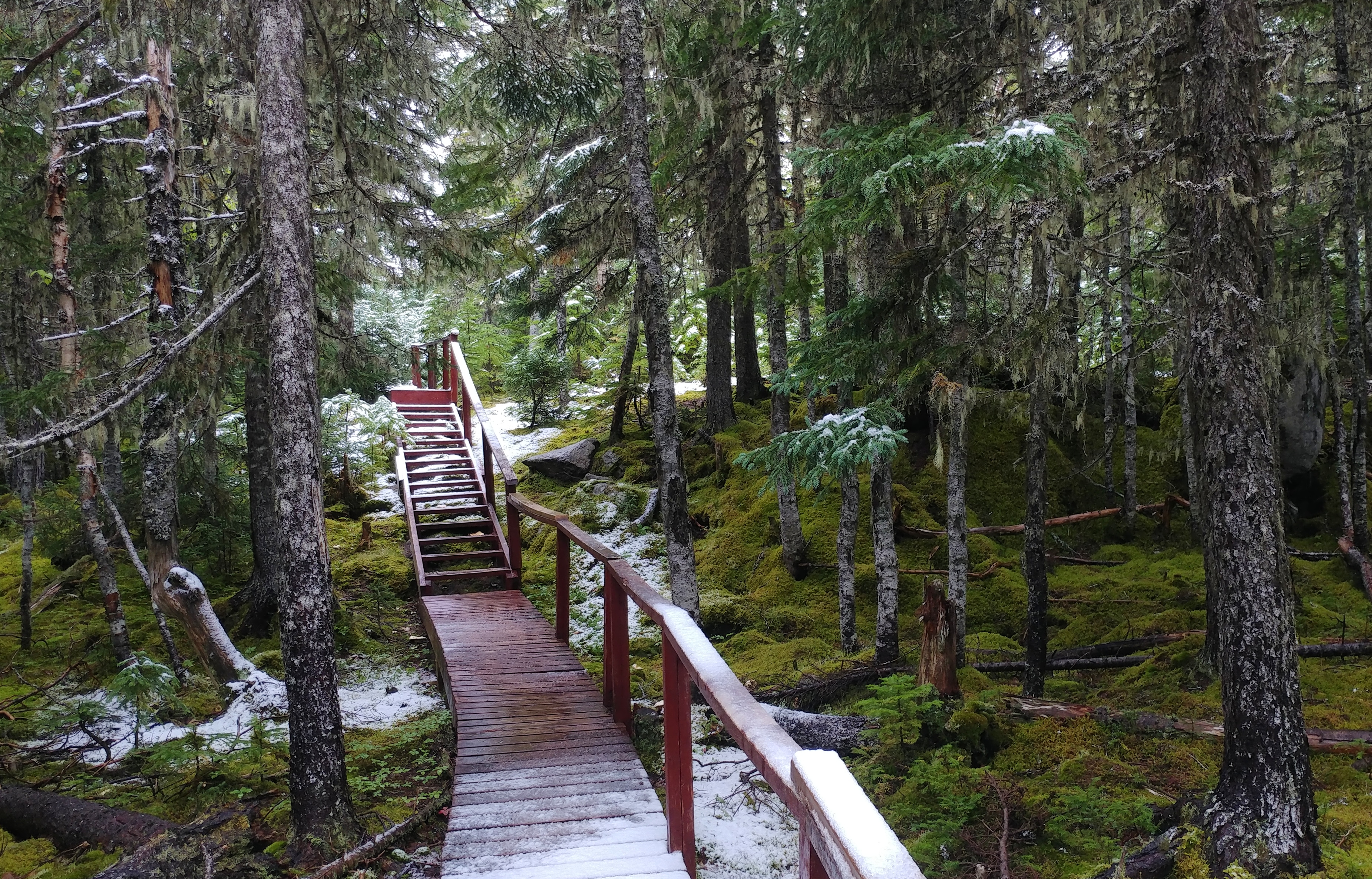 I don't want snow yet but, a little makes the most ordinary hikes