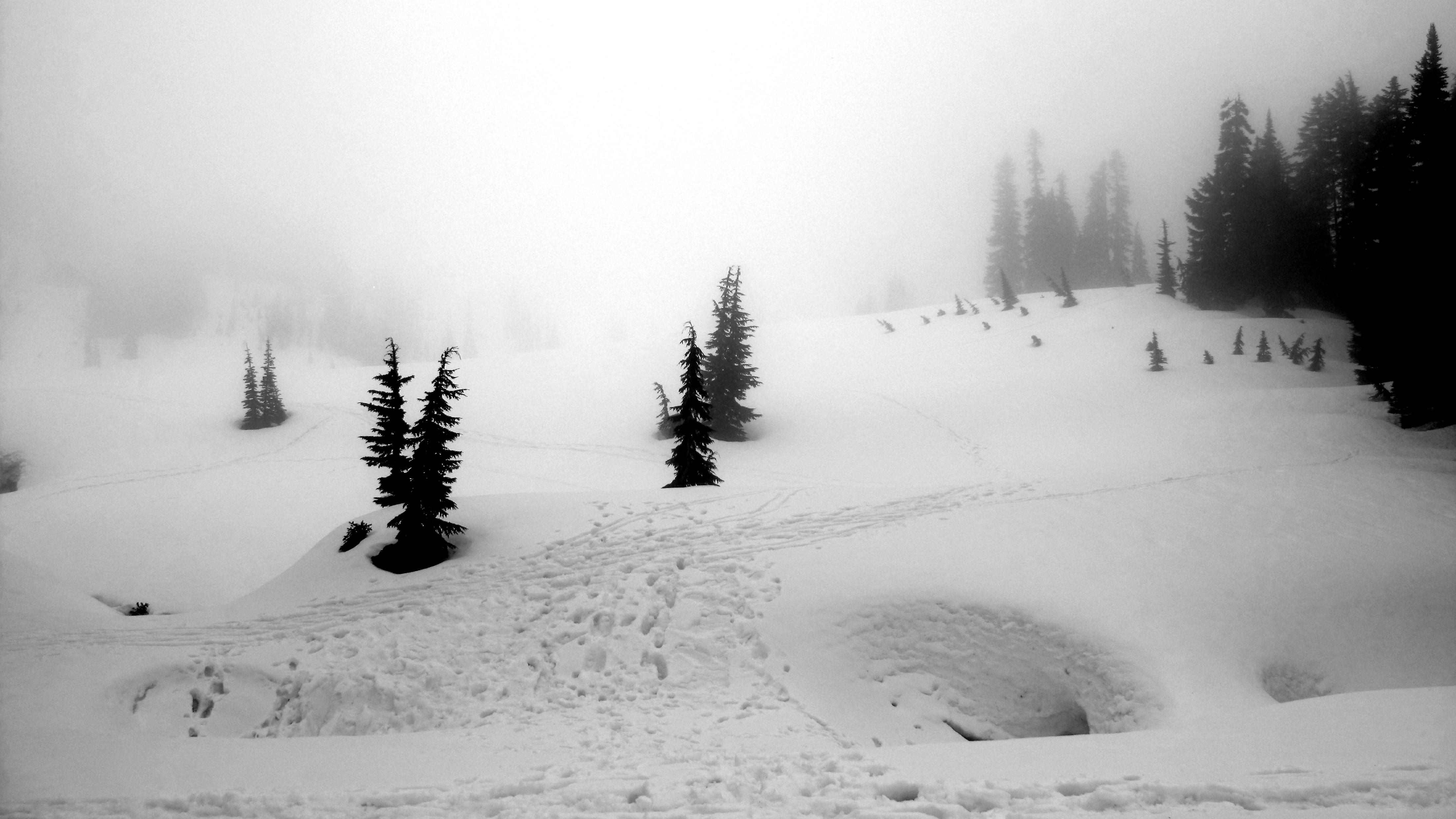Chinook Pass, Washington State in Late May [OC] [4408x2480] r/EarthPorn