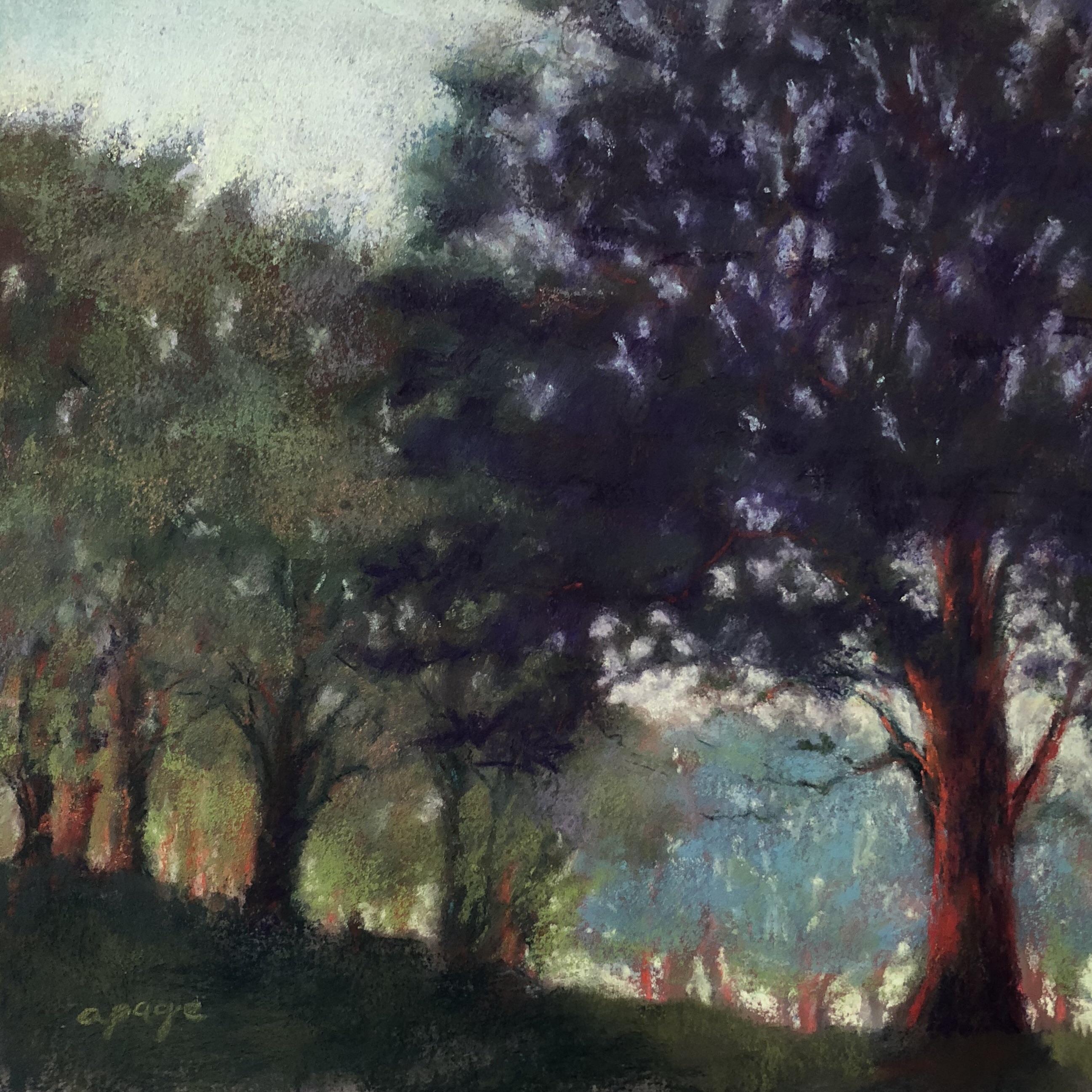 Red Oak in the Morning, 10”x10” r/painting