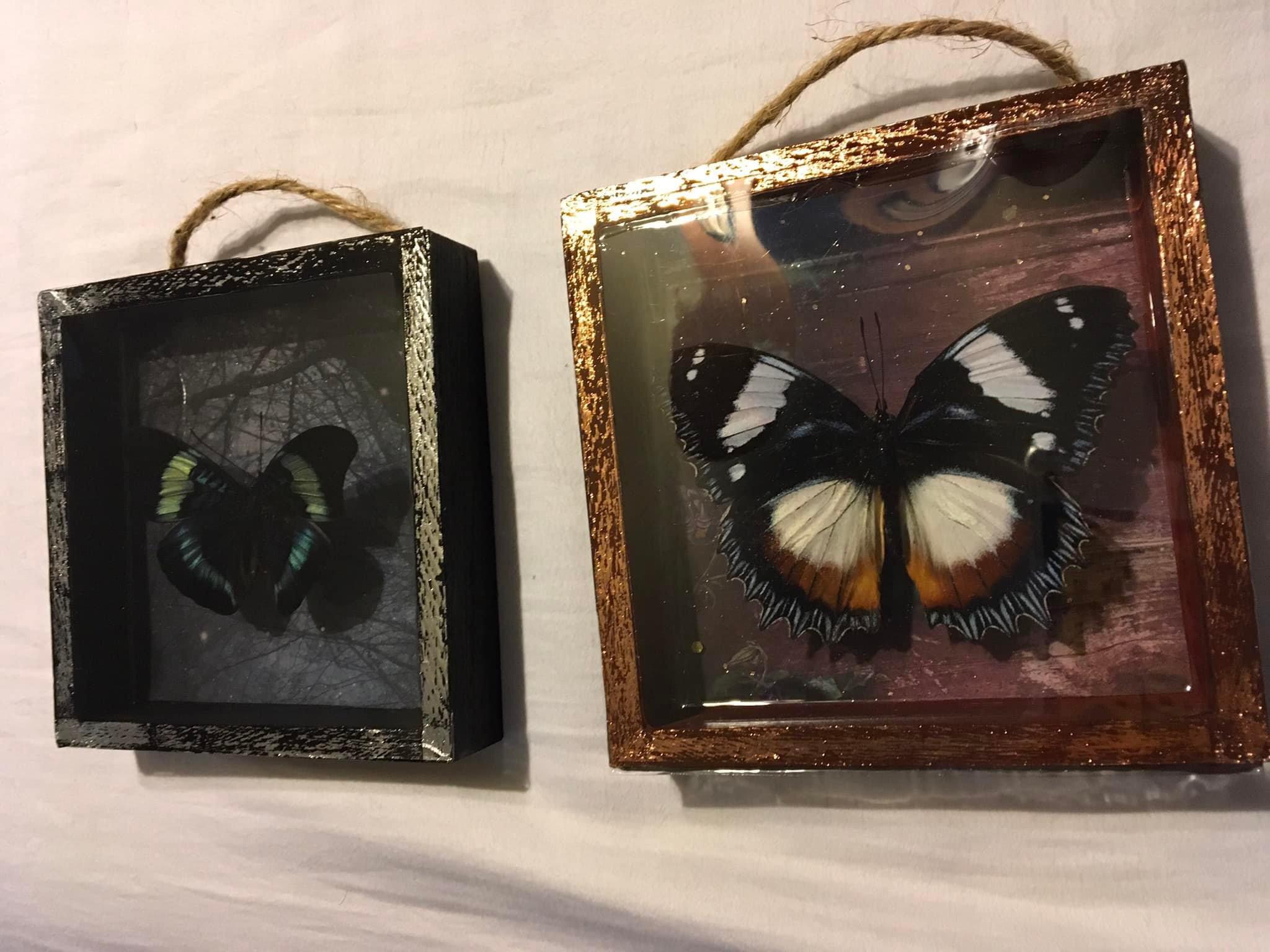 Butterfly shadow boxes. Me, 2022 r/Art