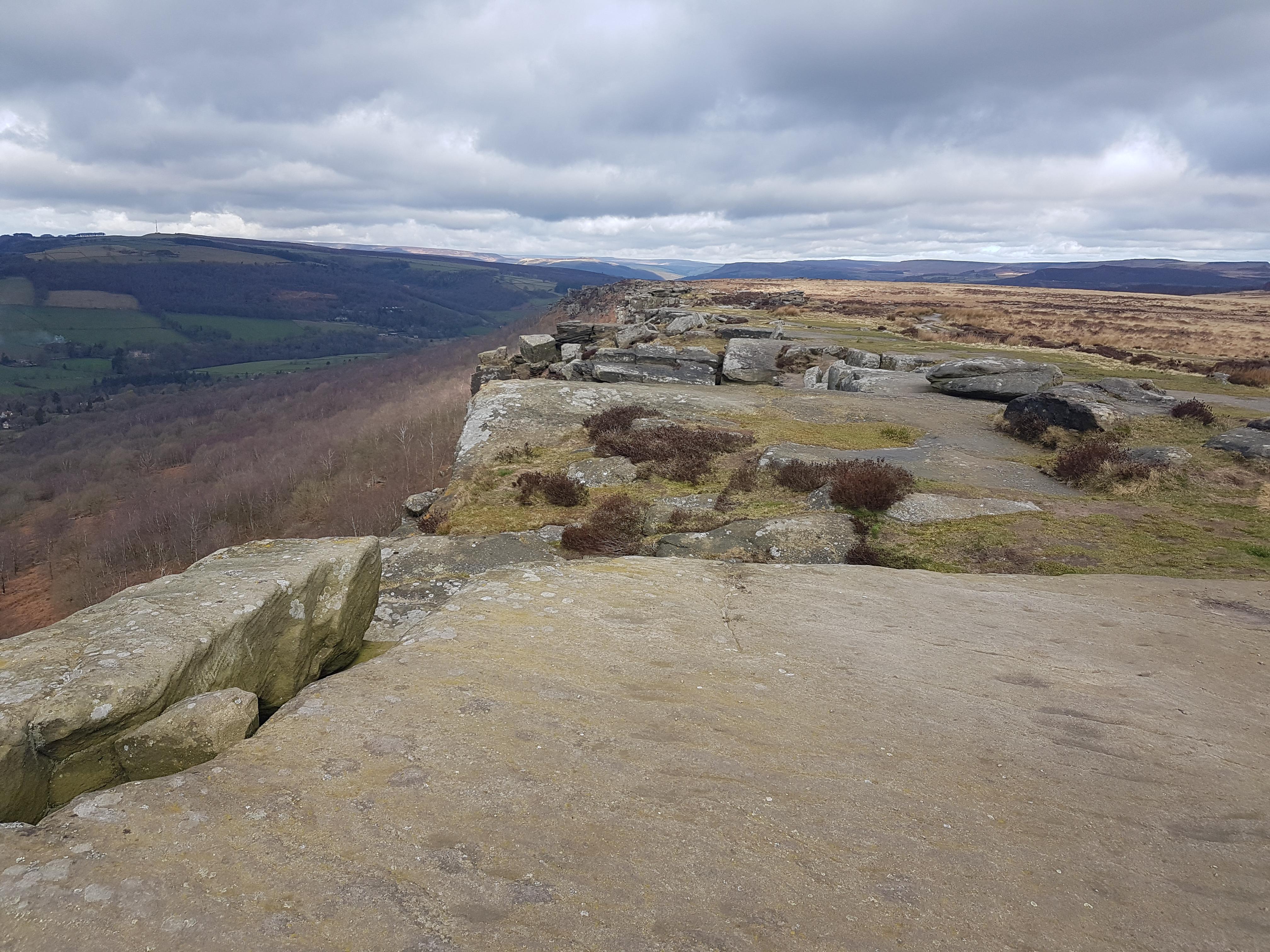 Reddit Dive into anything