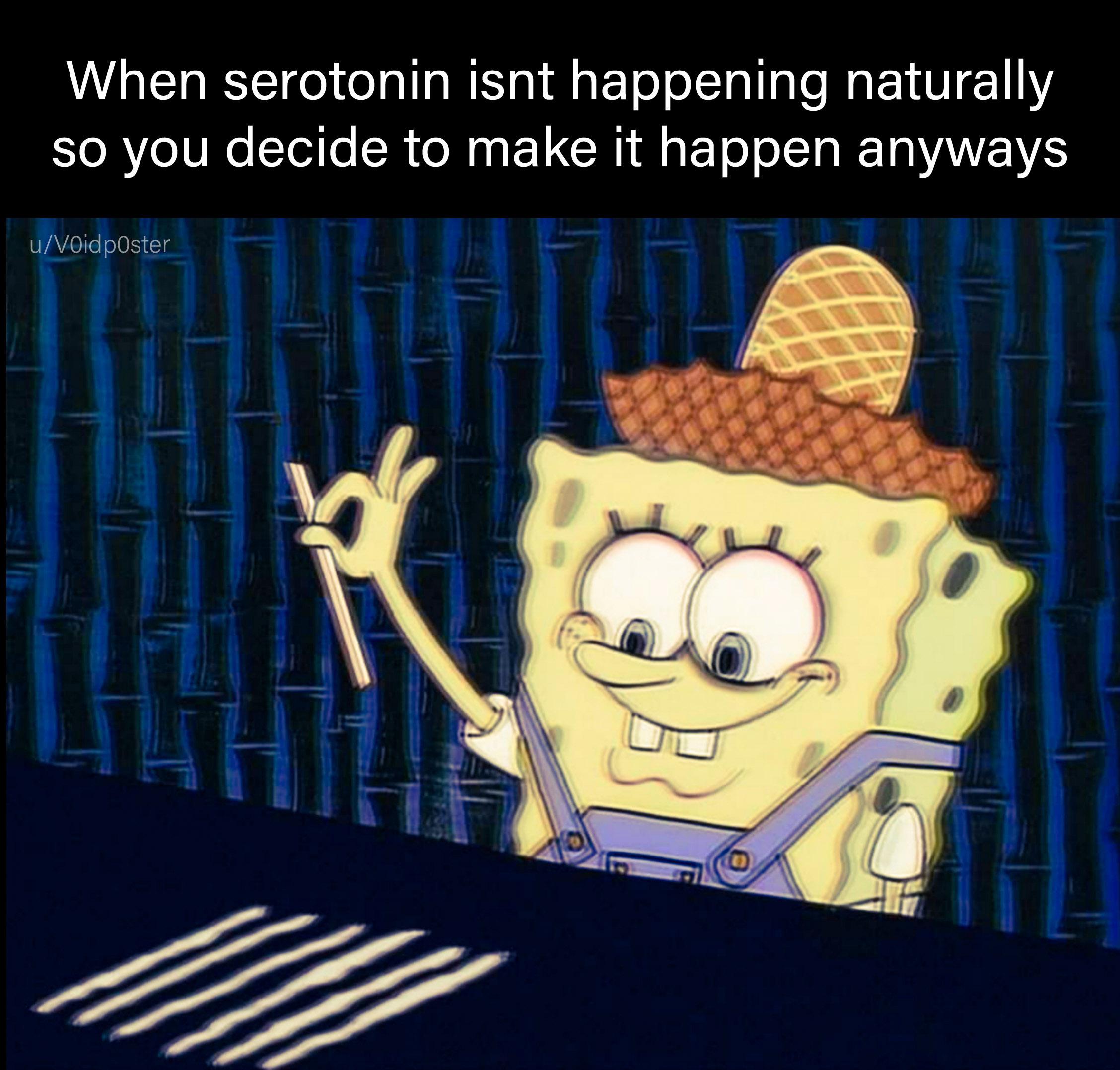 Serotonin life hack r/depression_memes