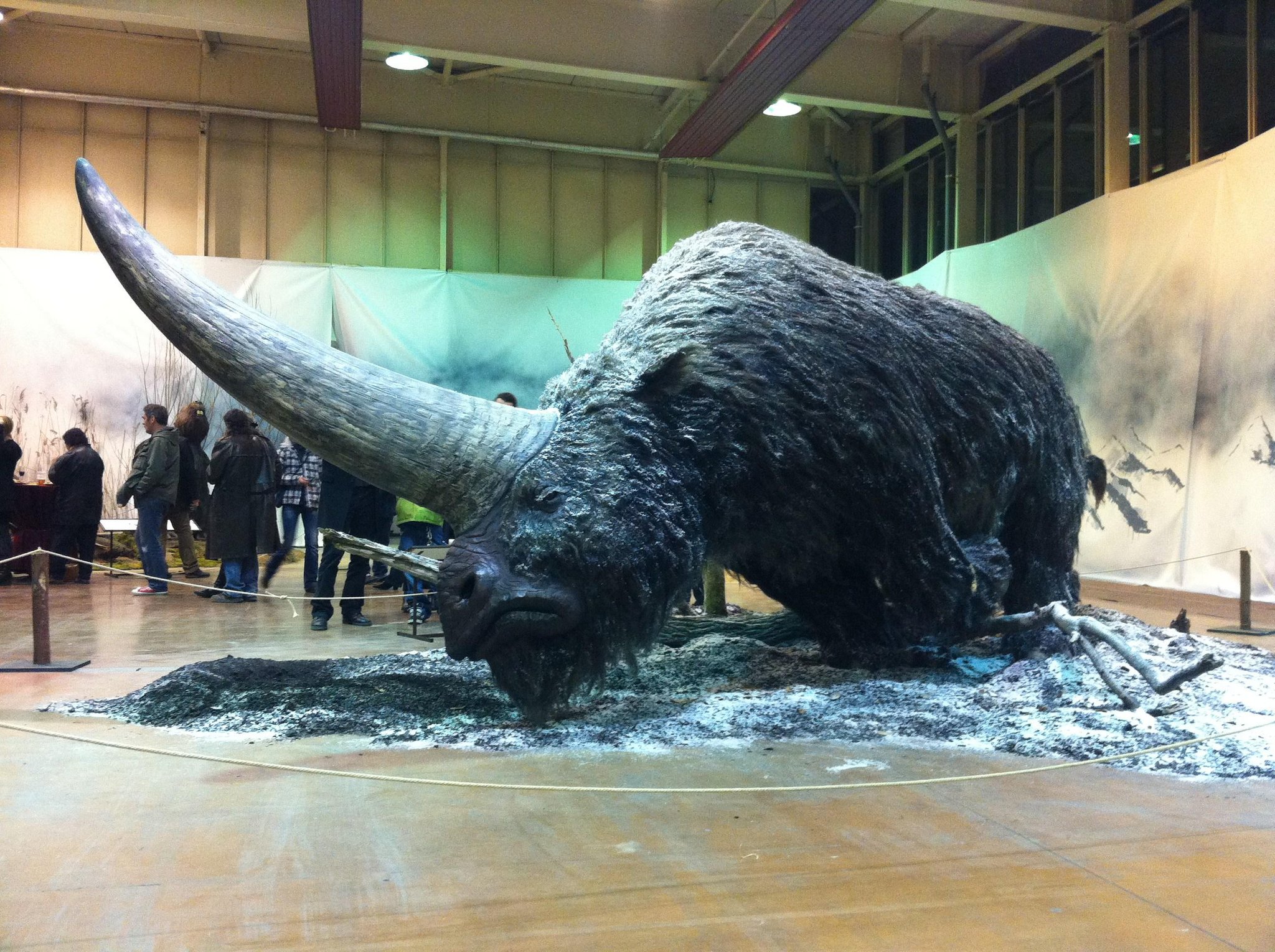 Siberian unicorn (Elasmotherium), extinct 39000 years ago. Could this be vision of