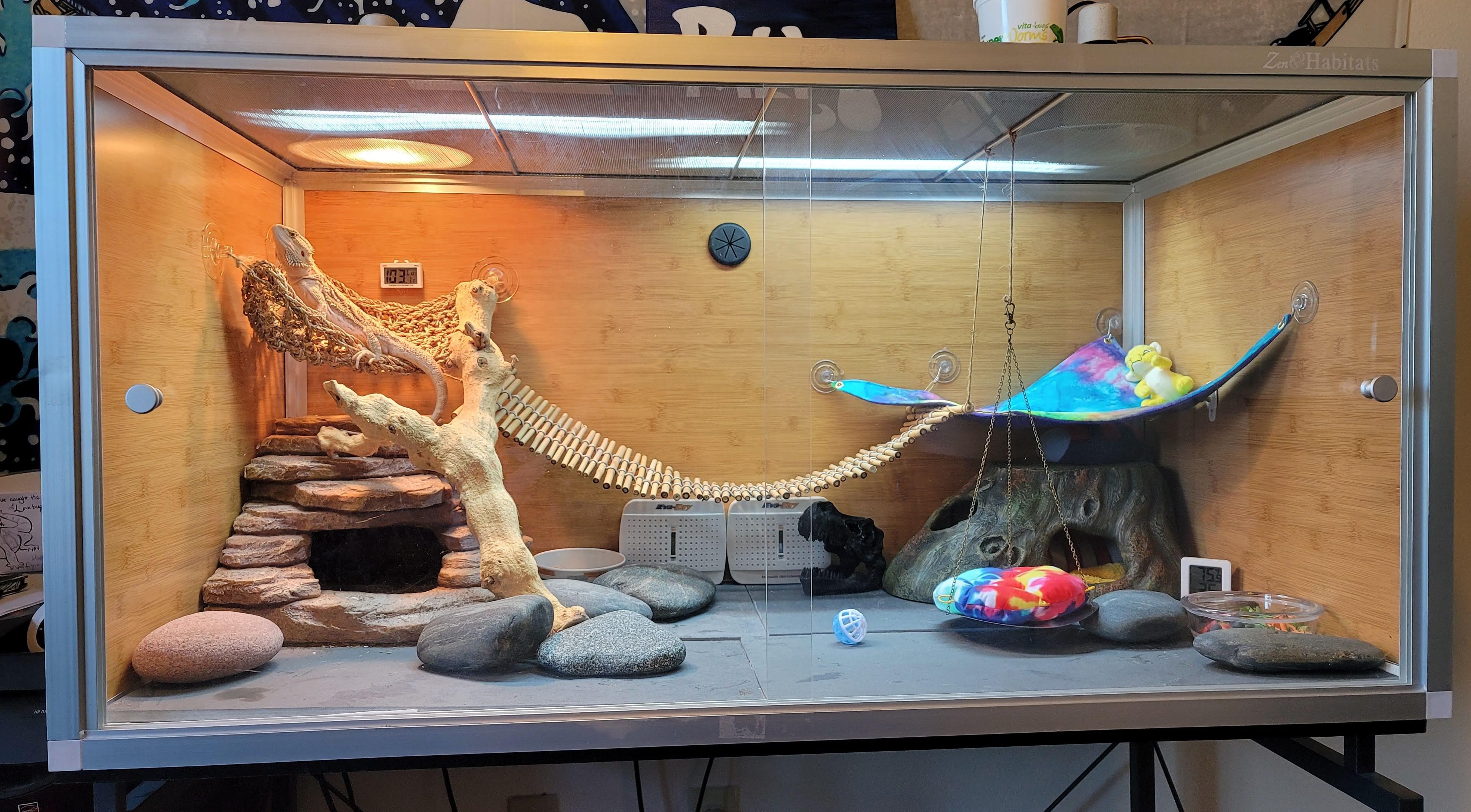 to Pablo's Palace! It's a 4x2x2 Zen Habitat and the hide on the