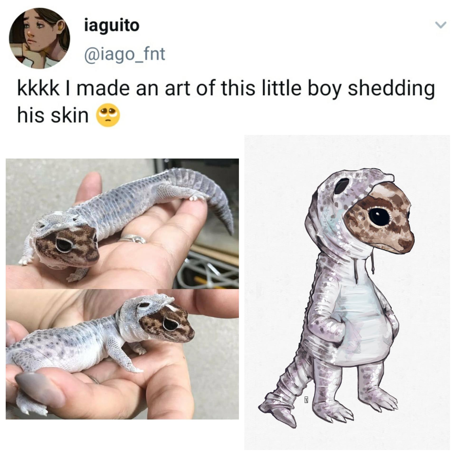 Artwork of a little gecko shedding his skin. r/WhitePeopleTwitter