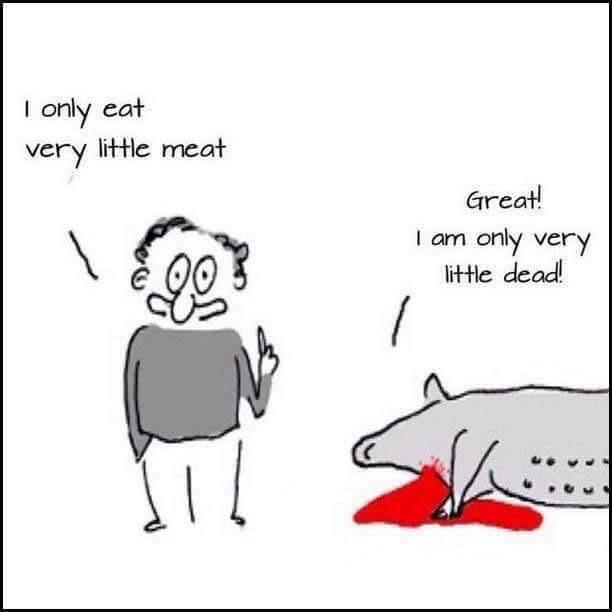 "I don't eat that much meat" r/vegan