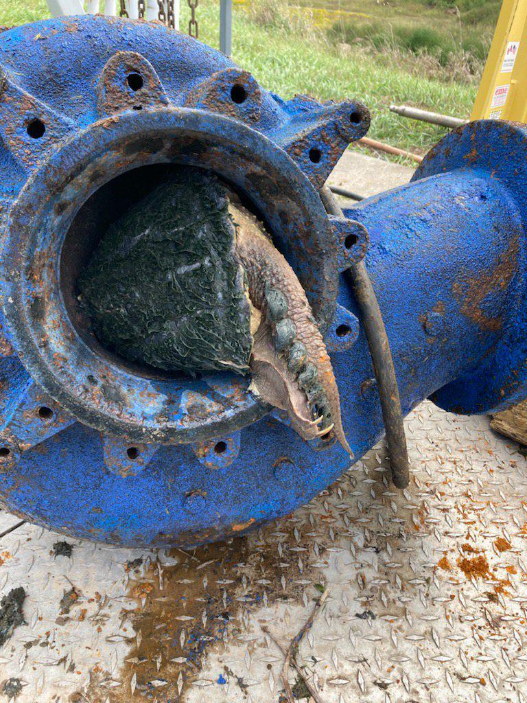 Pump stopped running wonder what the problem could be? r/Wastewater