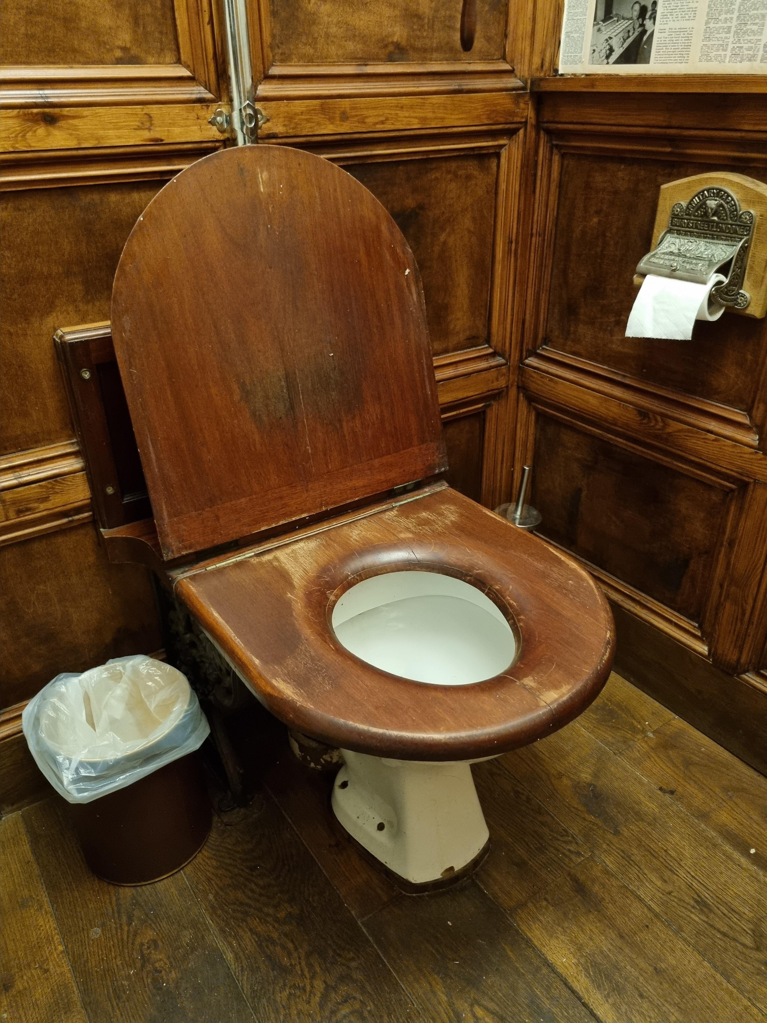 This ludicrously large toilet seat r/mildlyinteresting