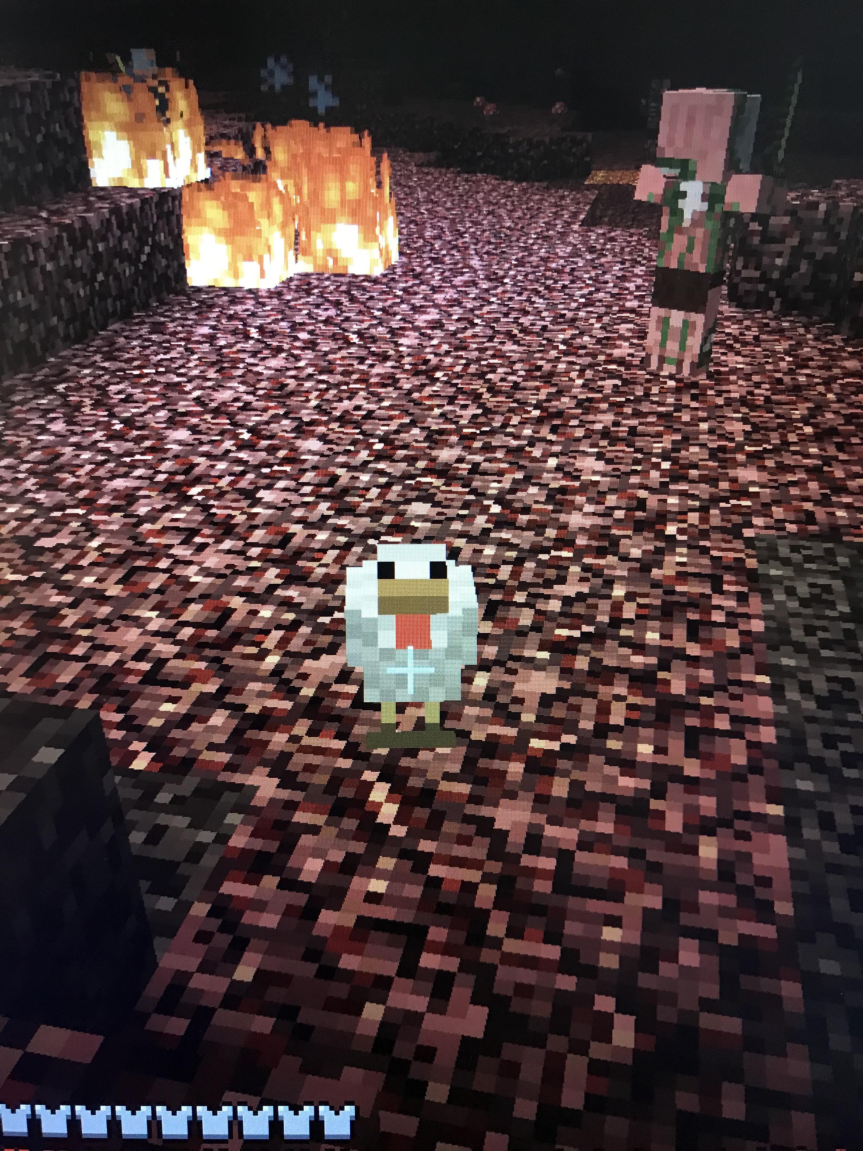 Randomly found a chicken in the nether? Minecraft