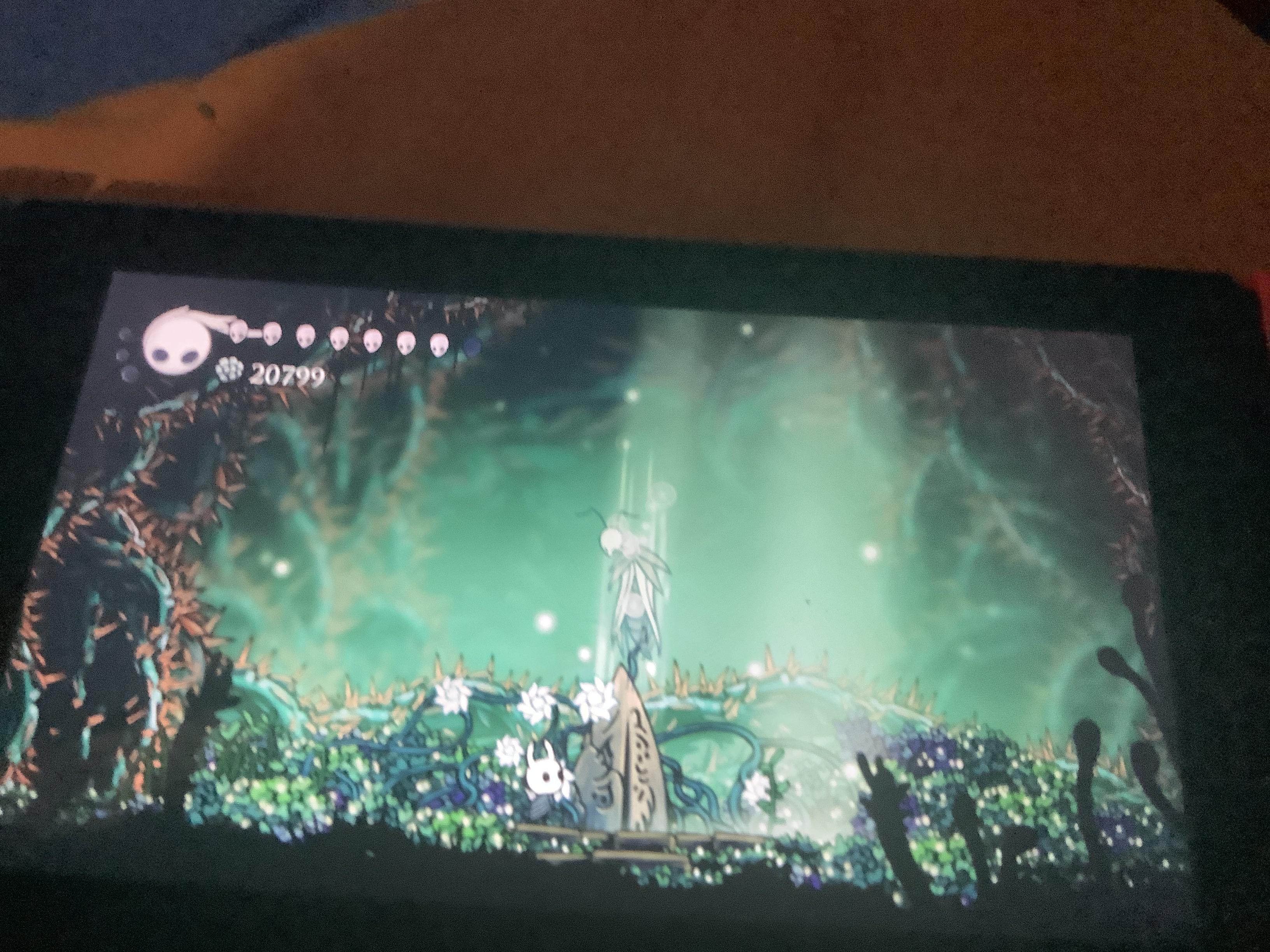 I finally finished the delicate flower quest, not that anybody cares