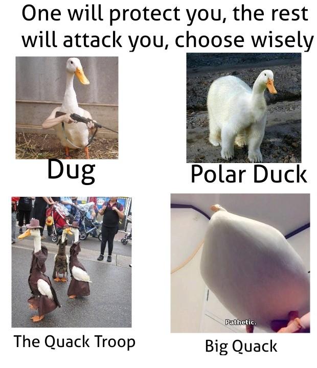 Battle of the ducks one will protect and the rest will attack r