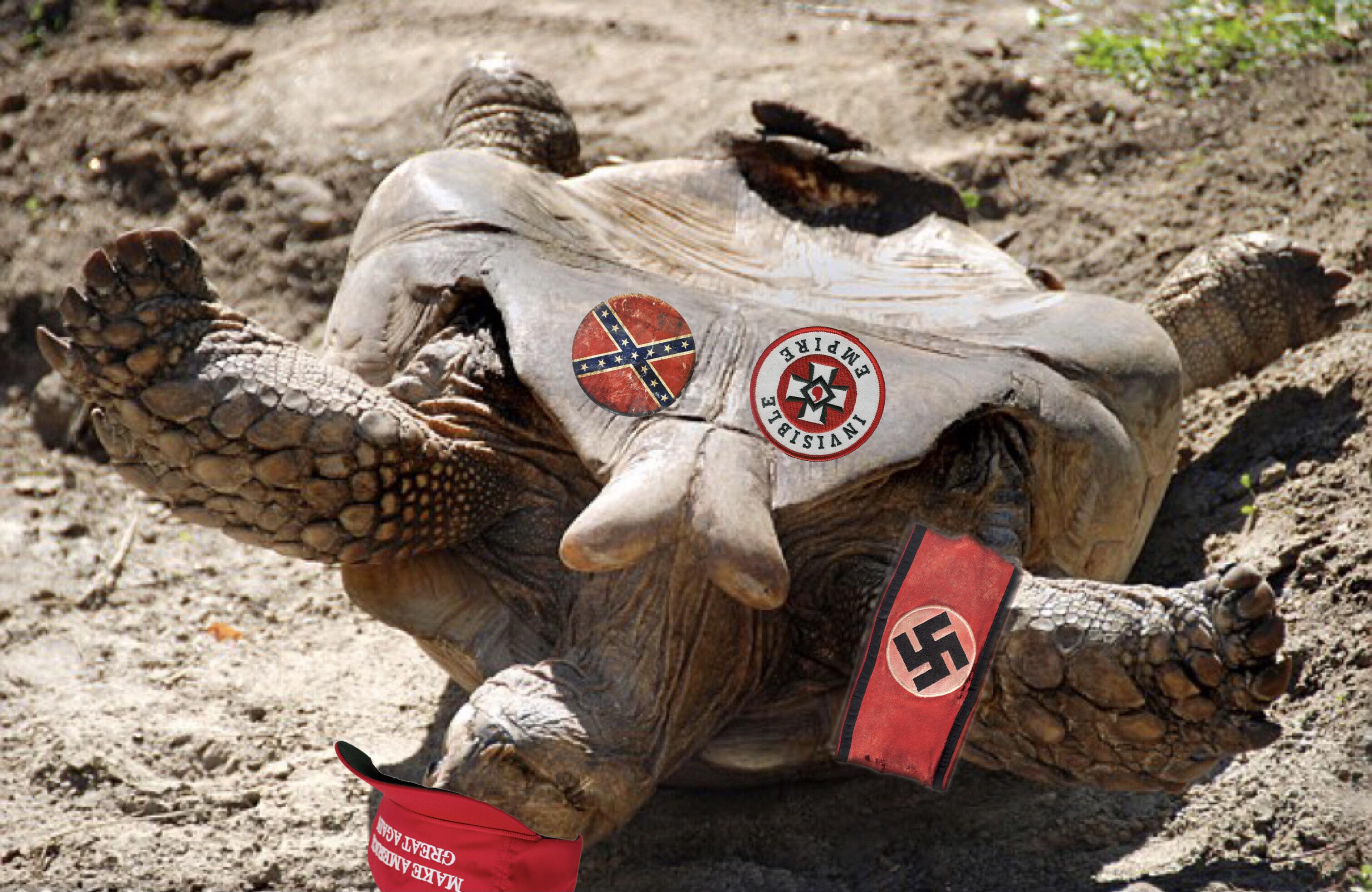 “We see him like an obese turtle on his back flailing in